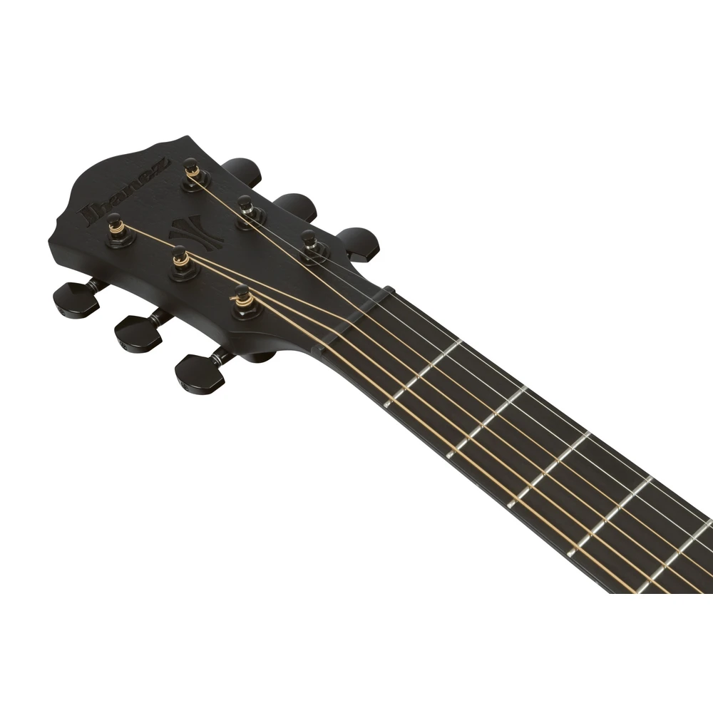 Ibanez AEG621-BOT