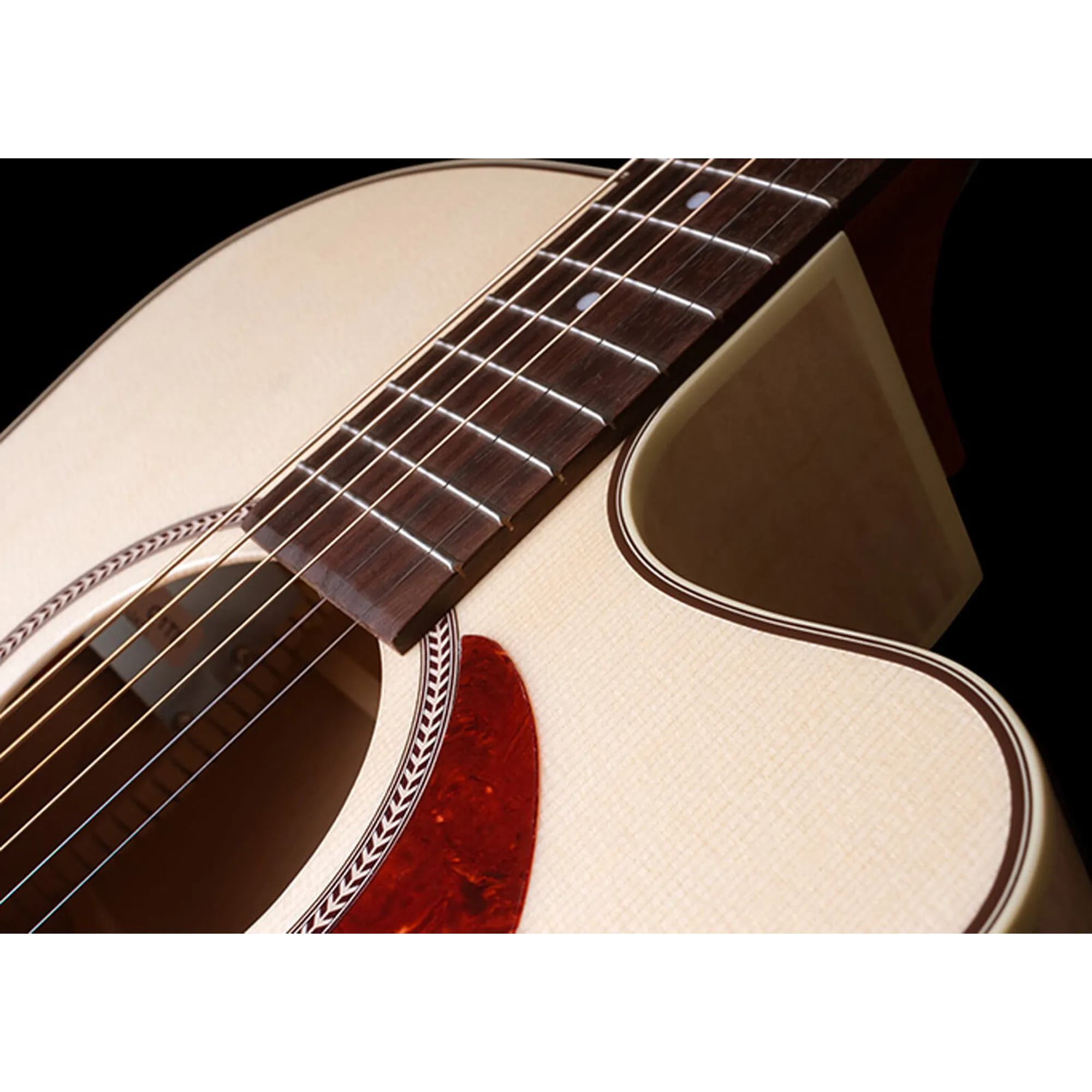 Seagull Performer CW MJ Q1T