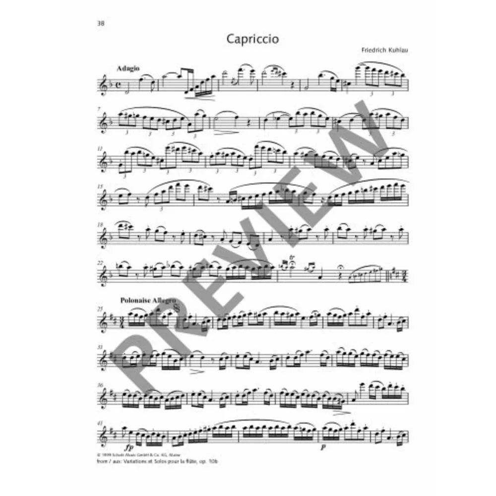 Best of Flute Solos - 30 Famous Pieces