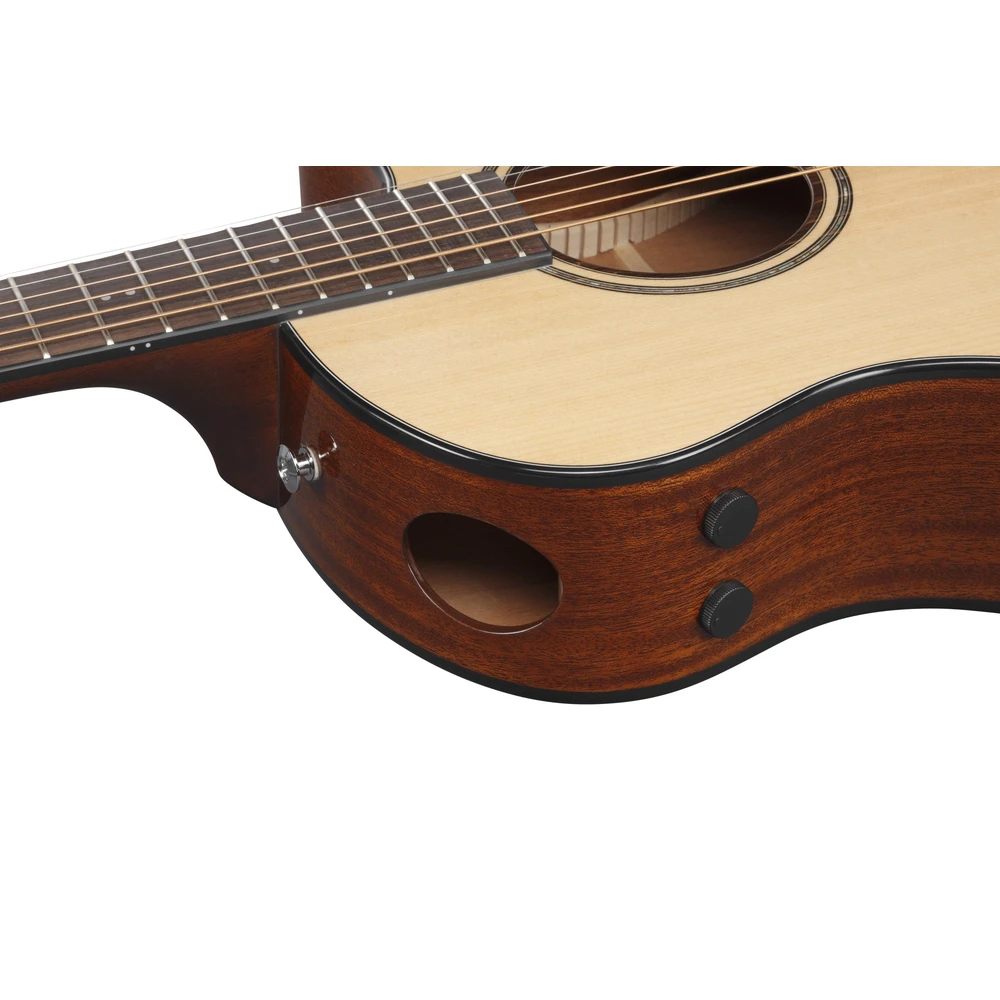 Ibanez AAM300CE-NT