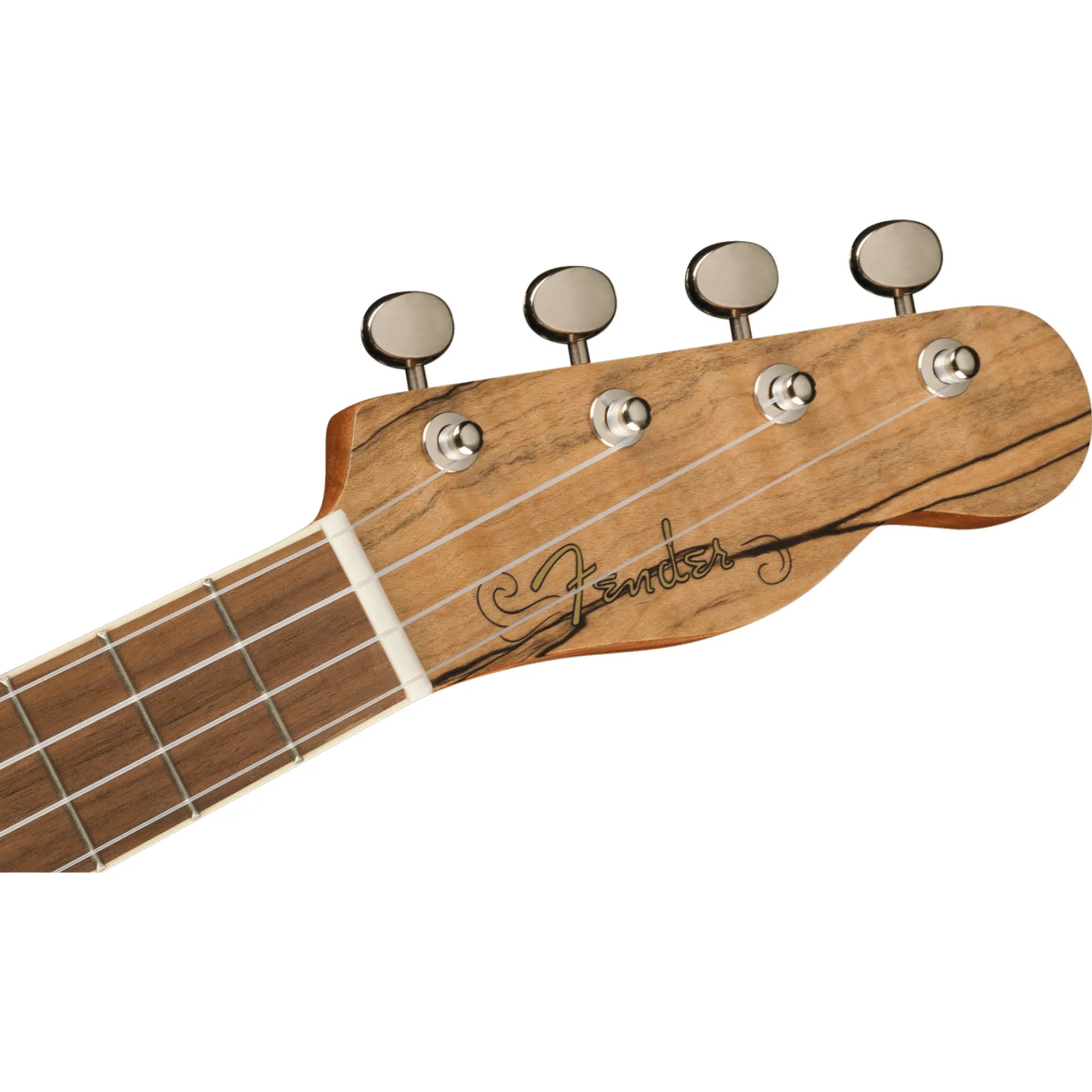 Fender Zuma Exotic Spalted Maple