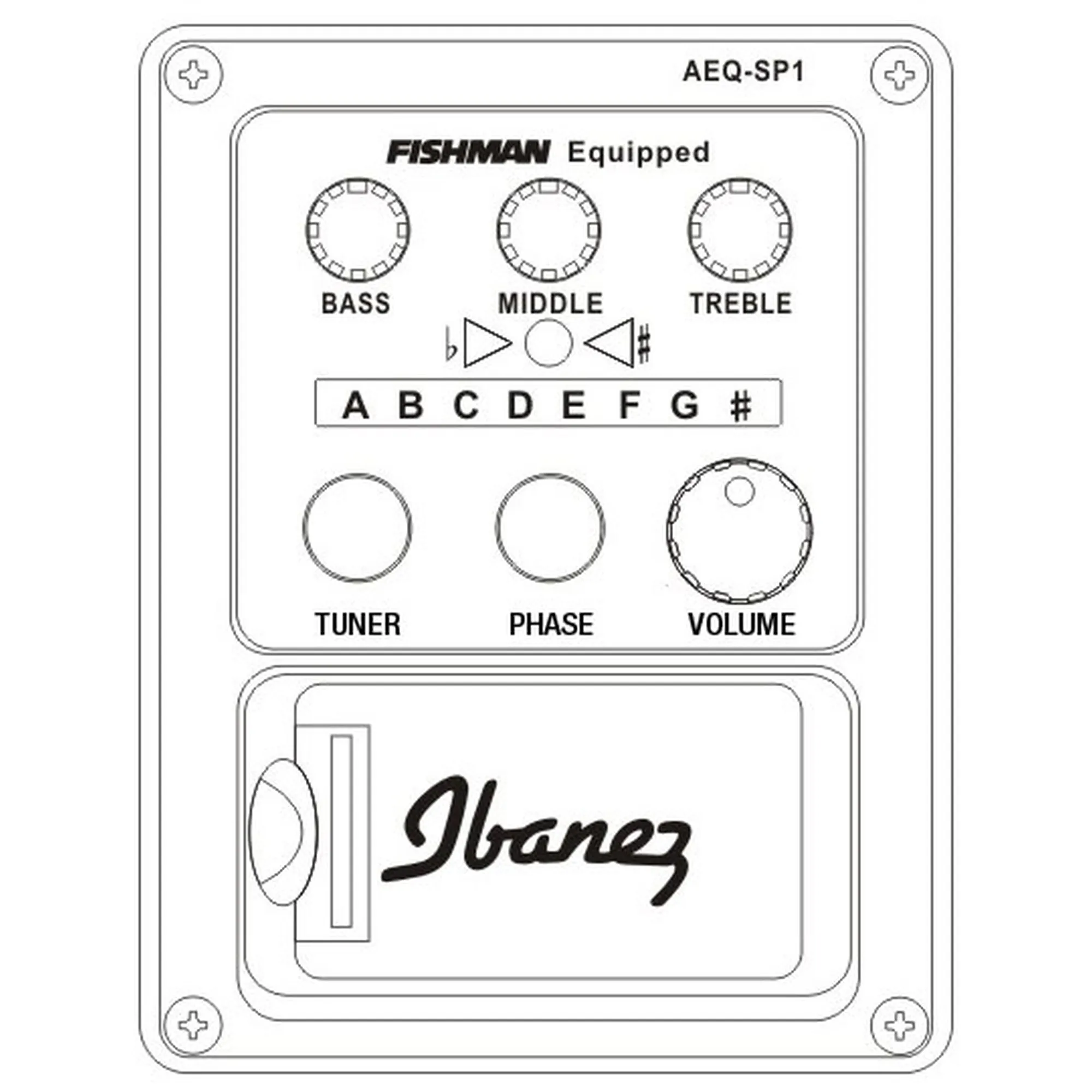 Ibanez AEG621-BOT