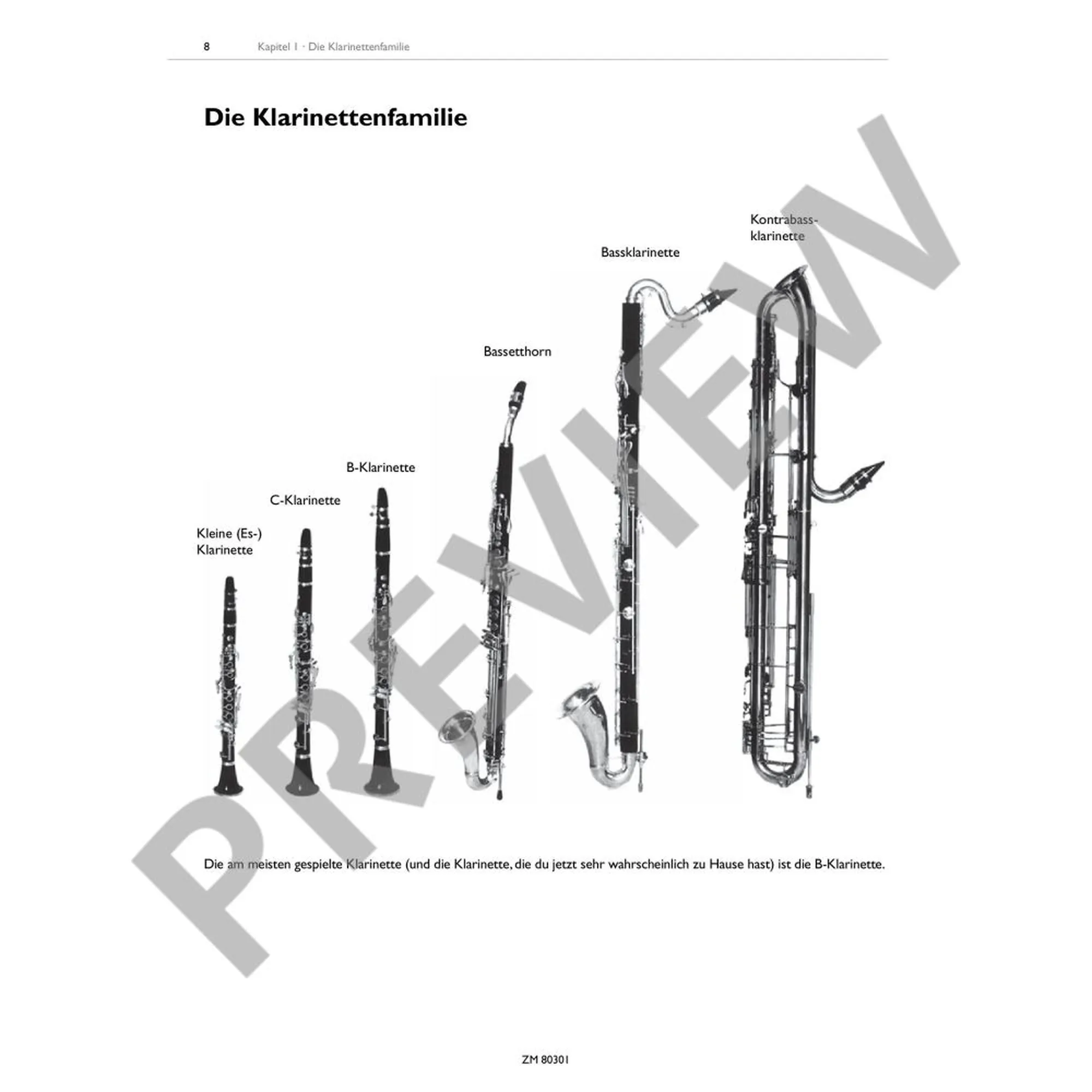Die clevere Klarinette Band 1