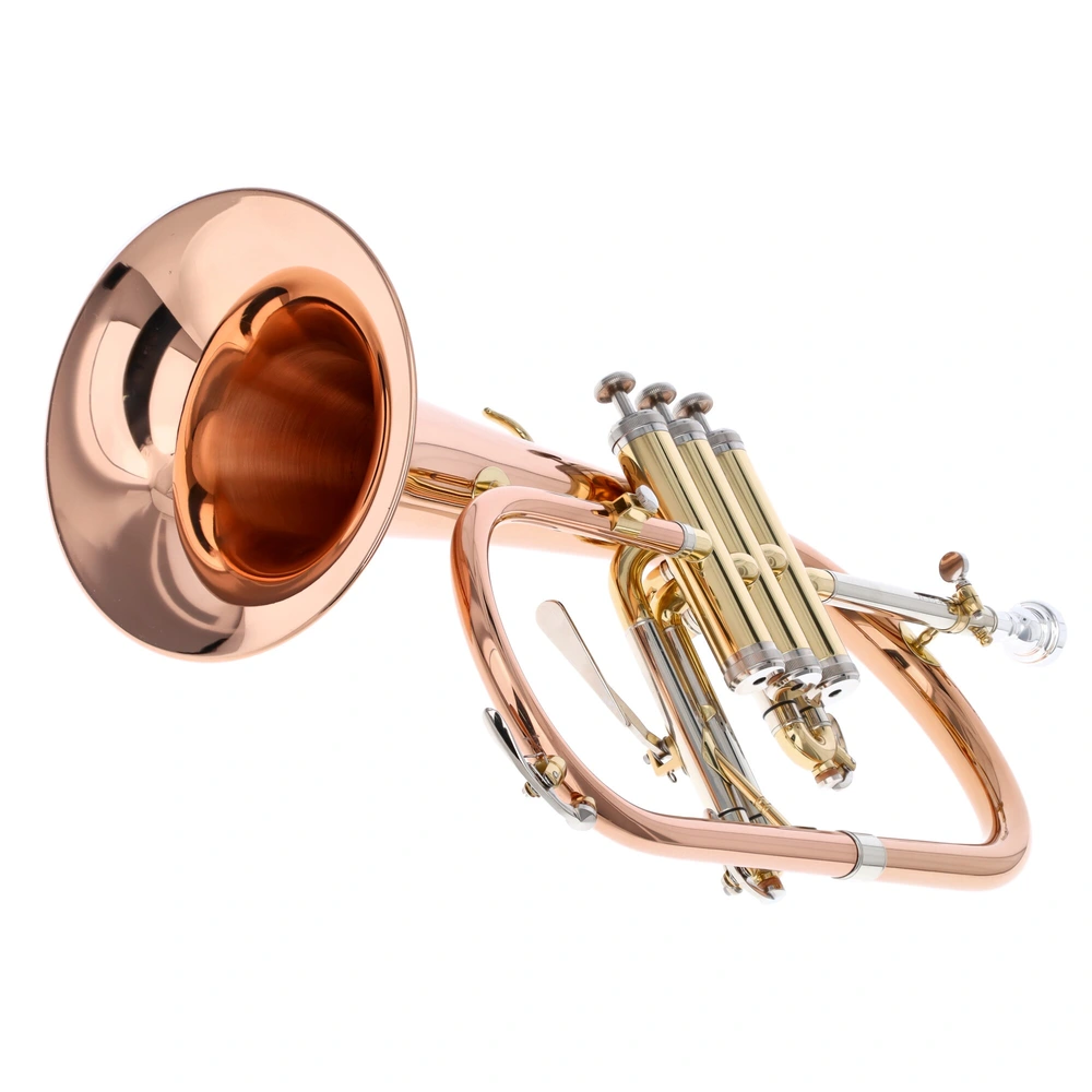 Leggiero LFH-601R