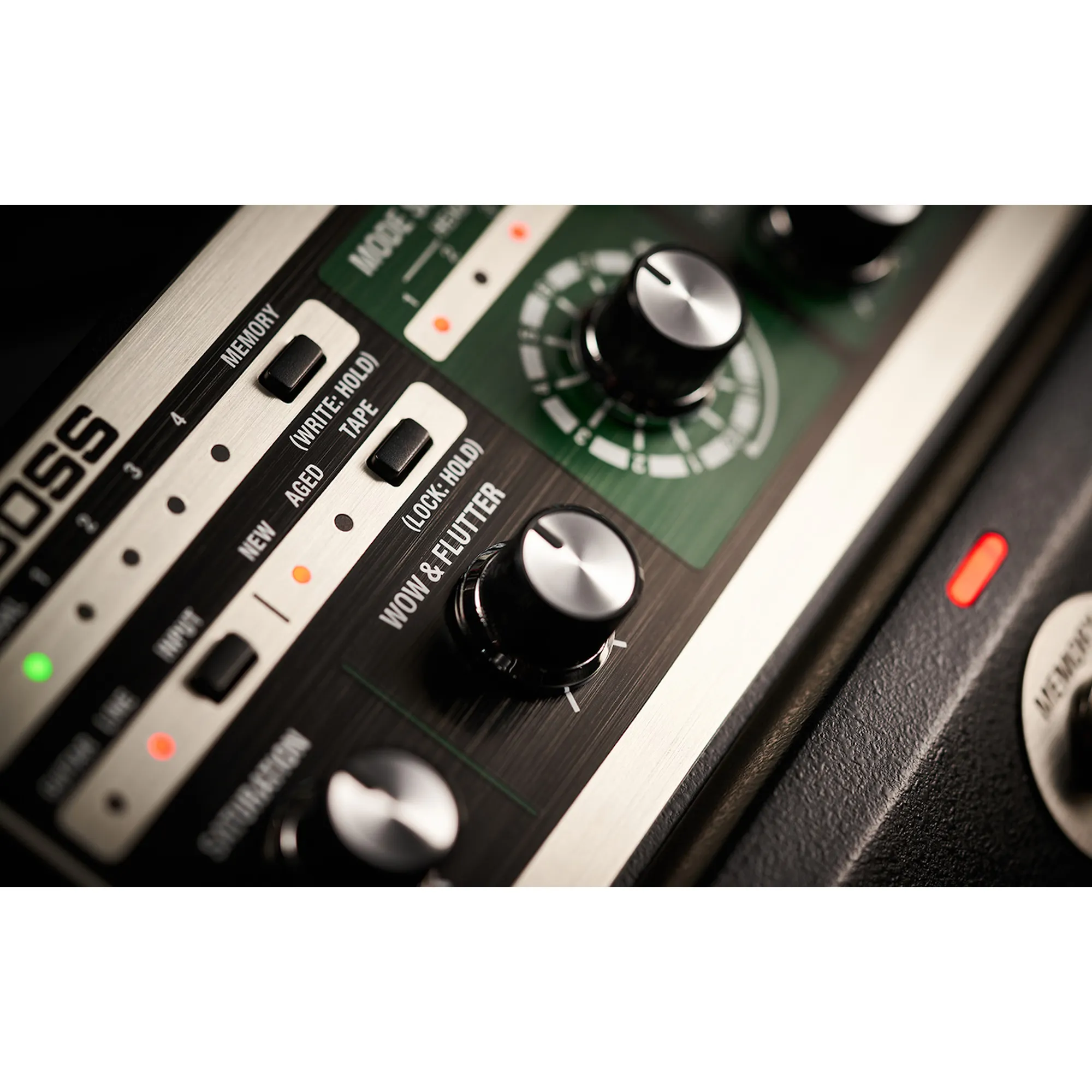 Boss RE-202