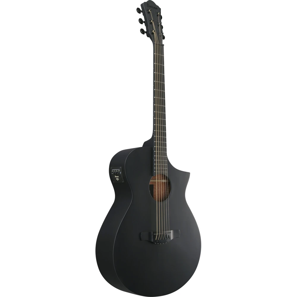 Ibanez AEWC621-BOT