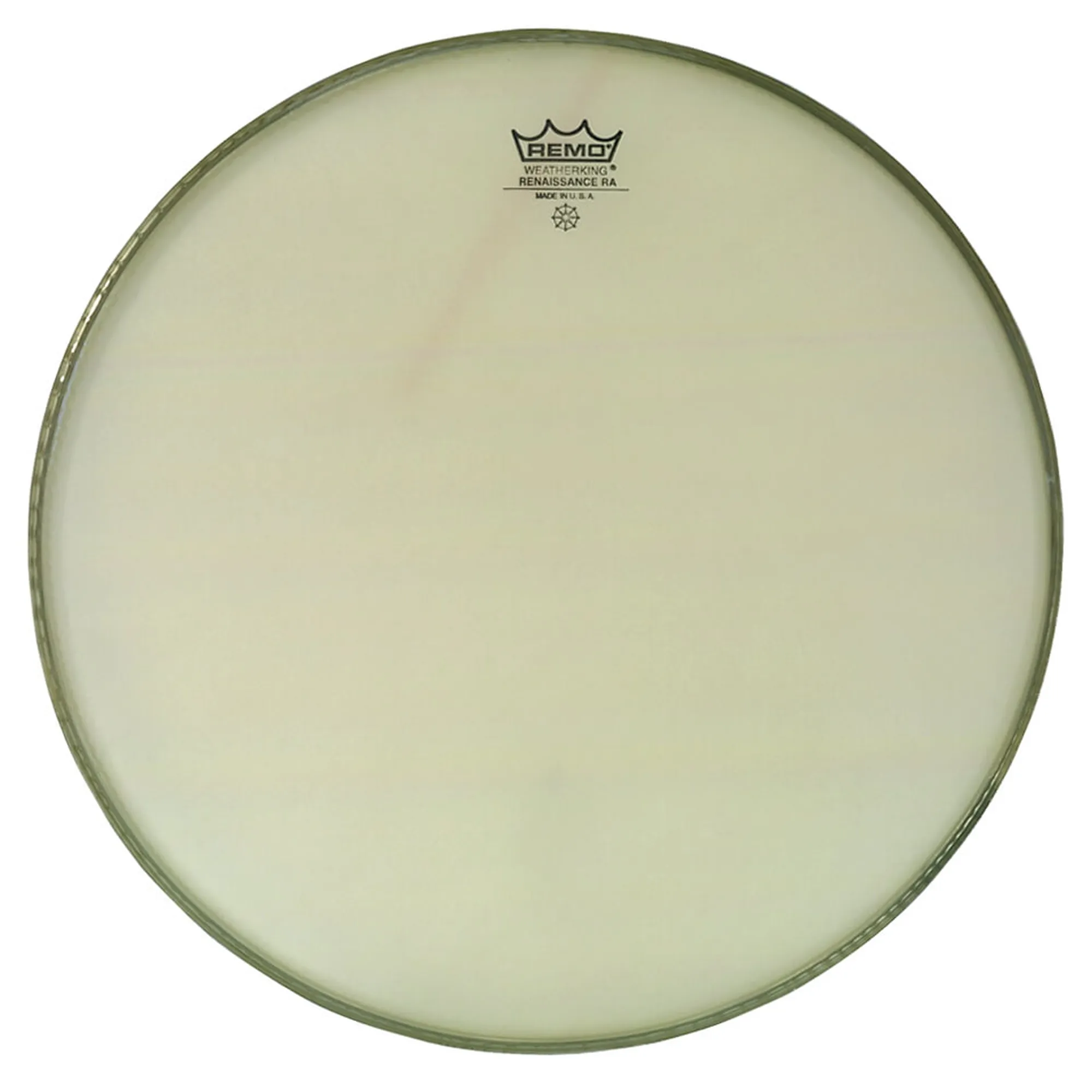 Remo Ambassador Renaissance 6"