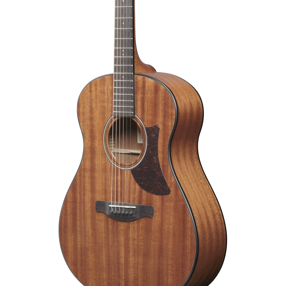 Ibanez AAM54-OPN