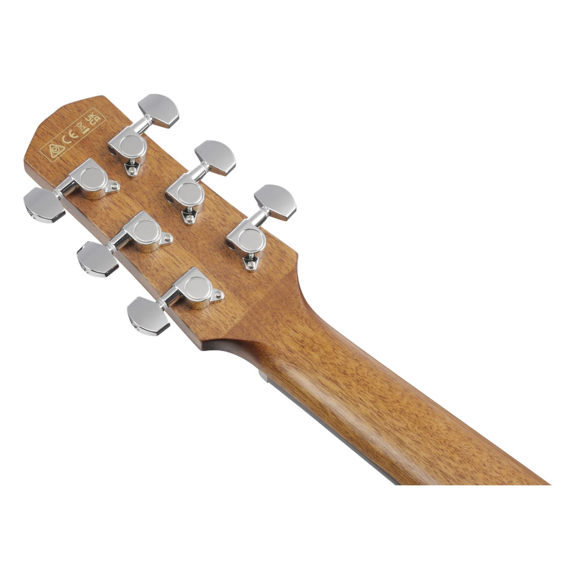 Ibanez AAM54CE-OPN
