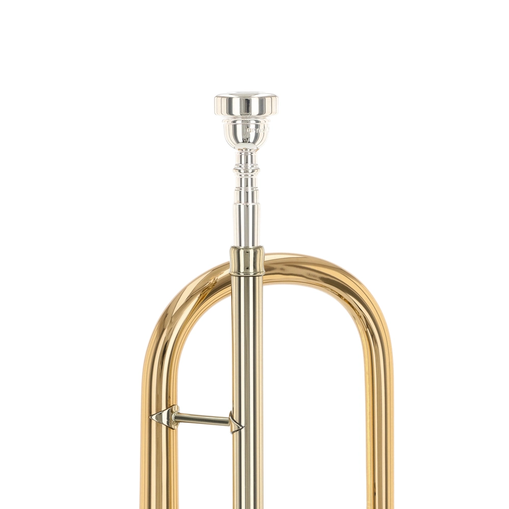 Voigt Brass JV-363-G-T Ambition