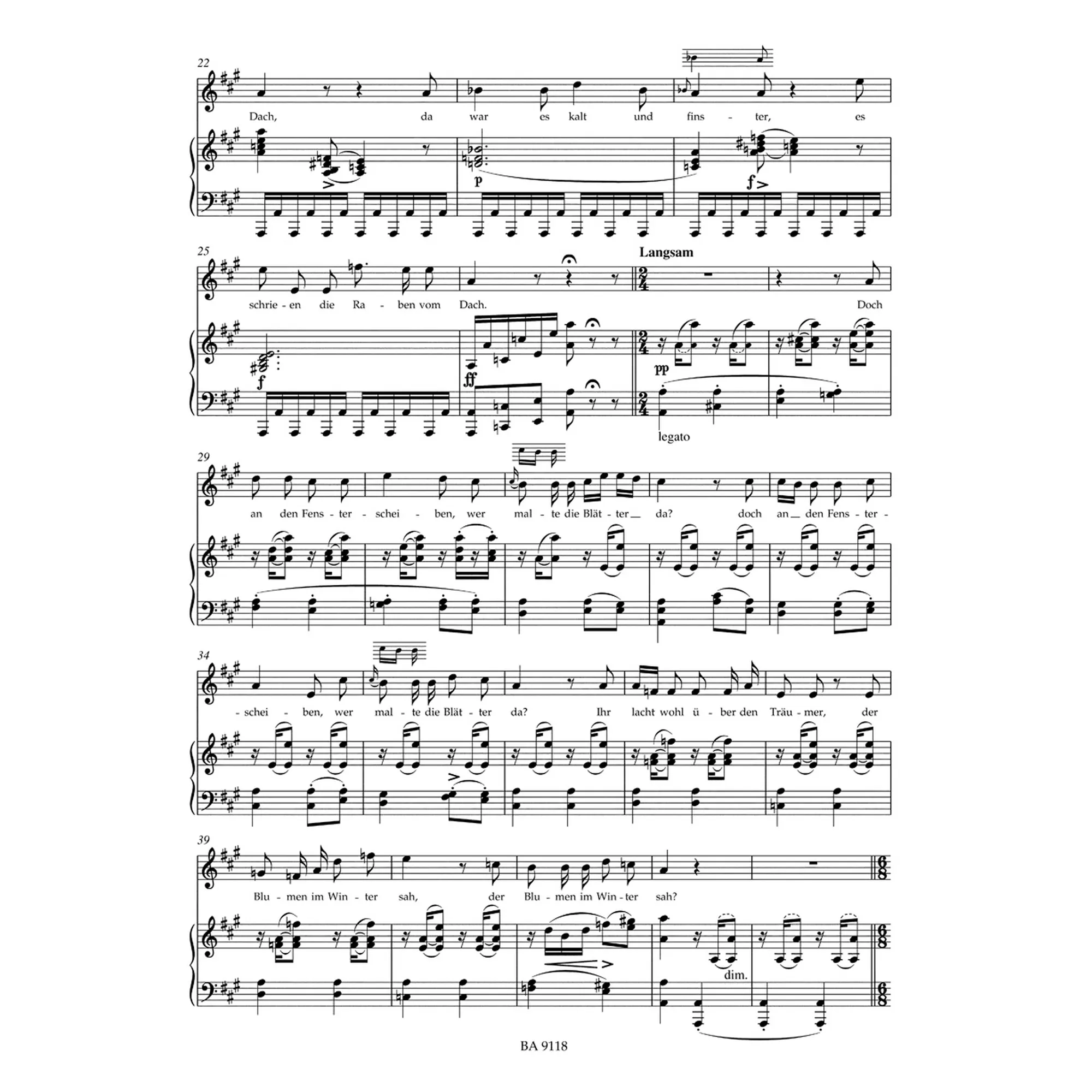 Winterreise op. 89 D911