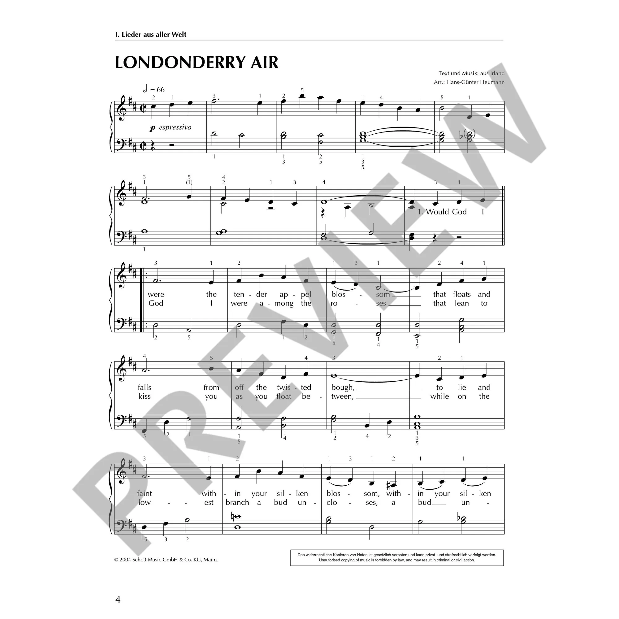 Lieder & Songs (Klavier spielen - mein schönstes Hobby)