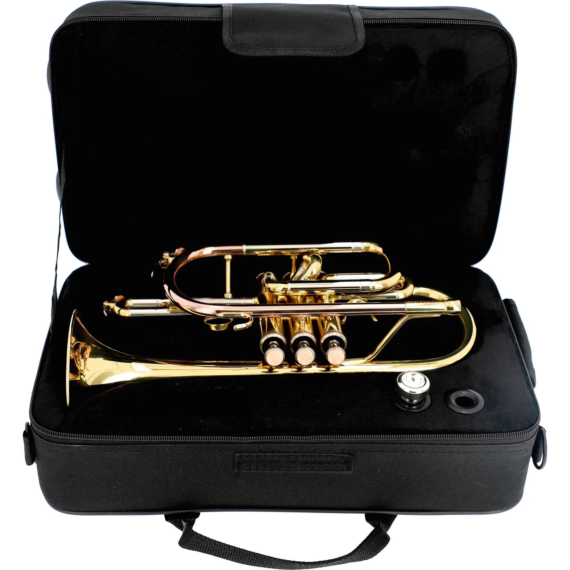Leggiero LCR-501