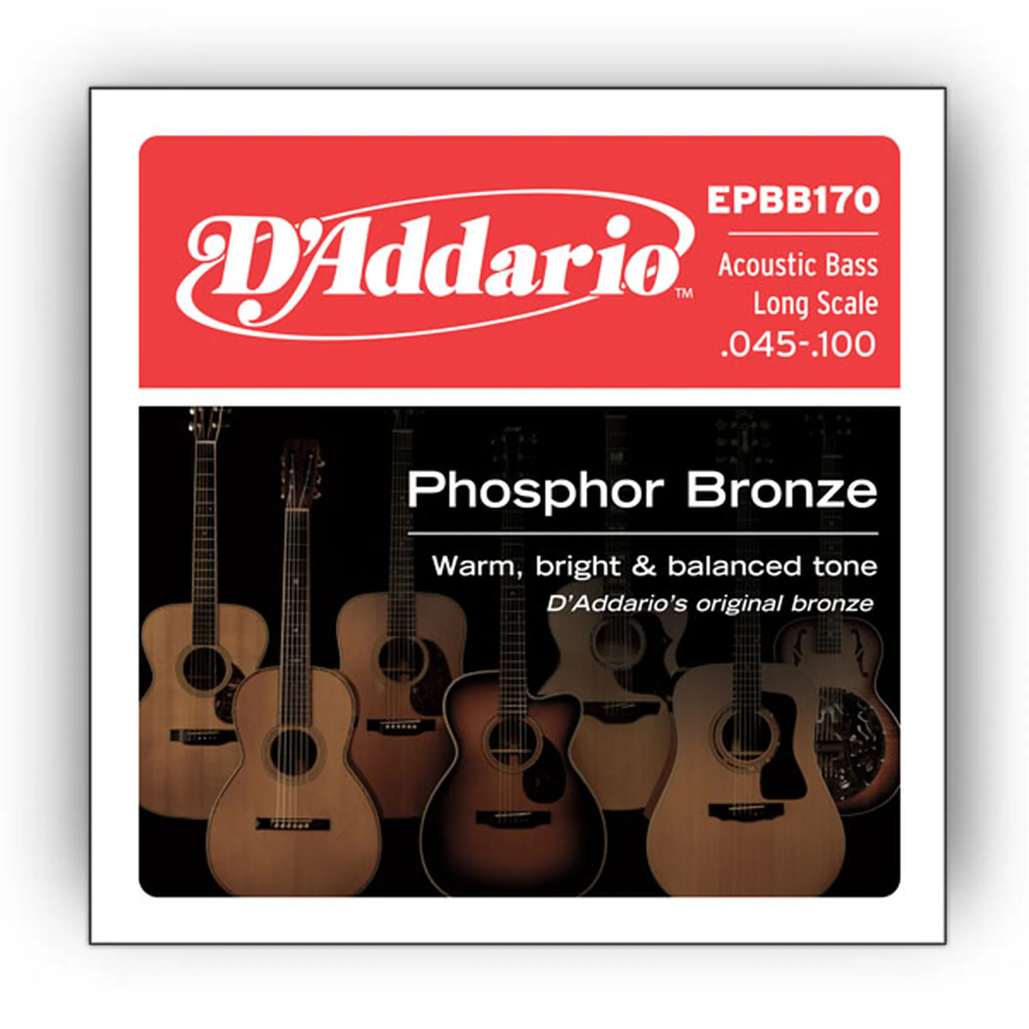 D´Addario EPBB170 Bronze Acoustic Bass