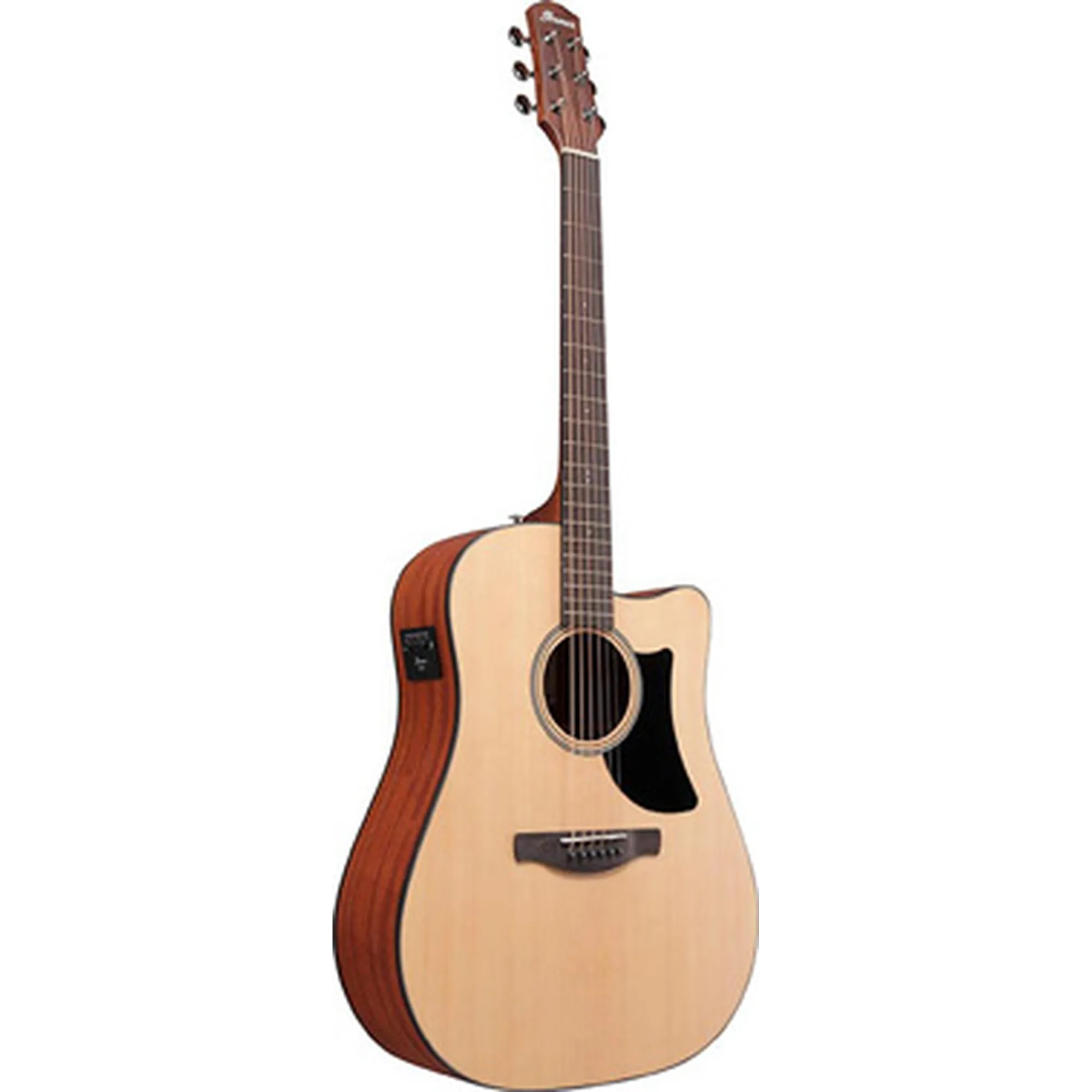 Ibanez AAD50CE-LG