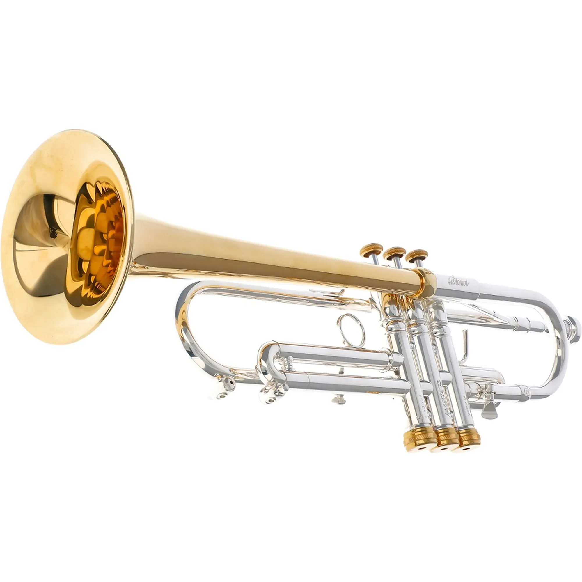 Stomvi Master 5381