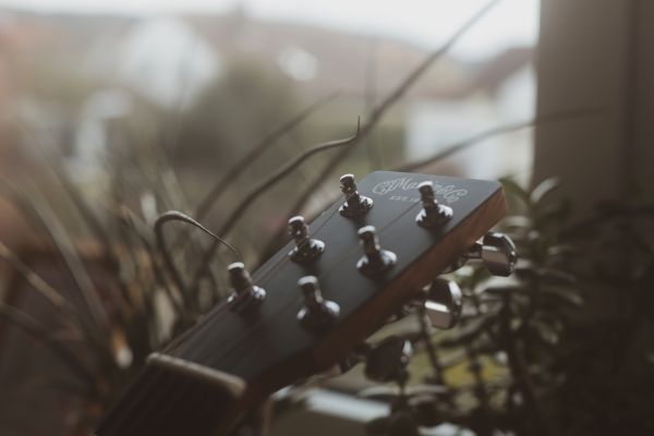 Martin & Co Headstock