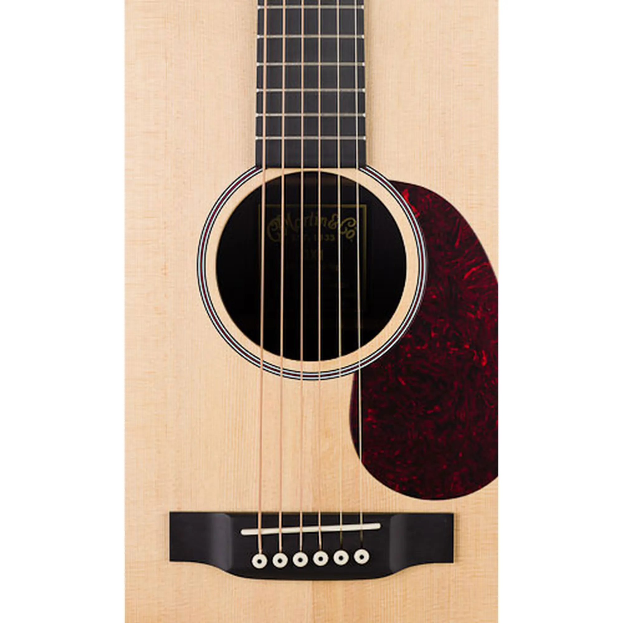 Martin GPC-X2E Cocobolo