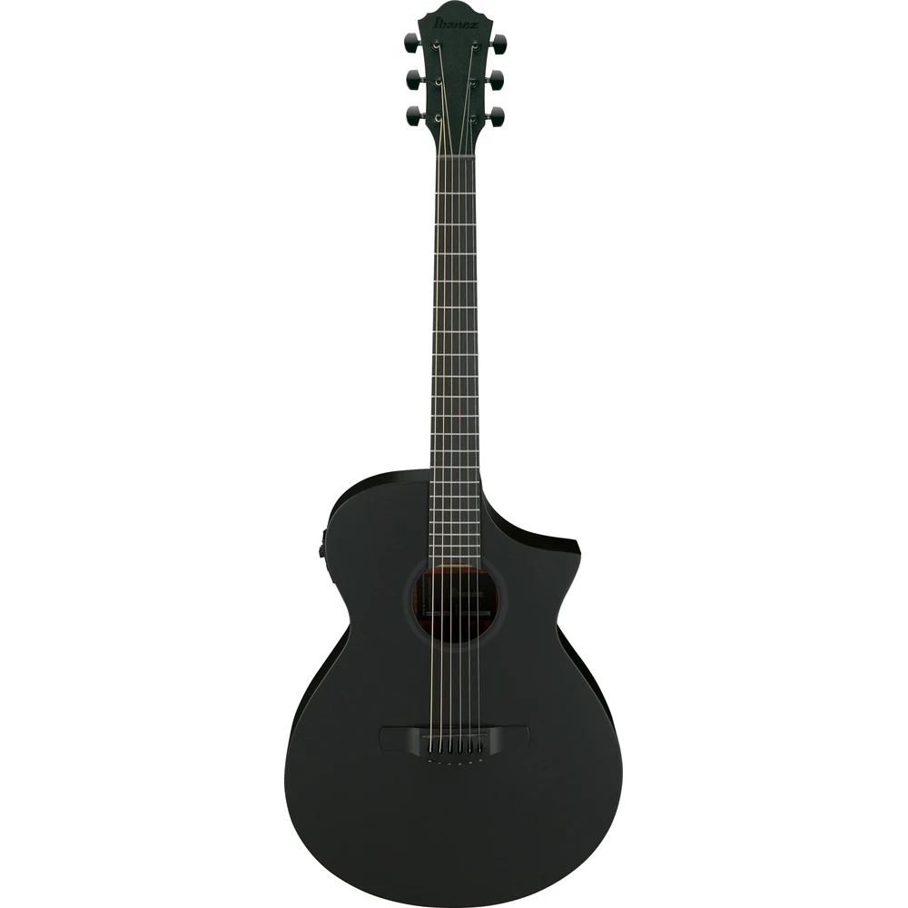Ibanez AEWC621-BOT