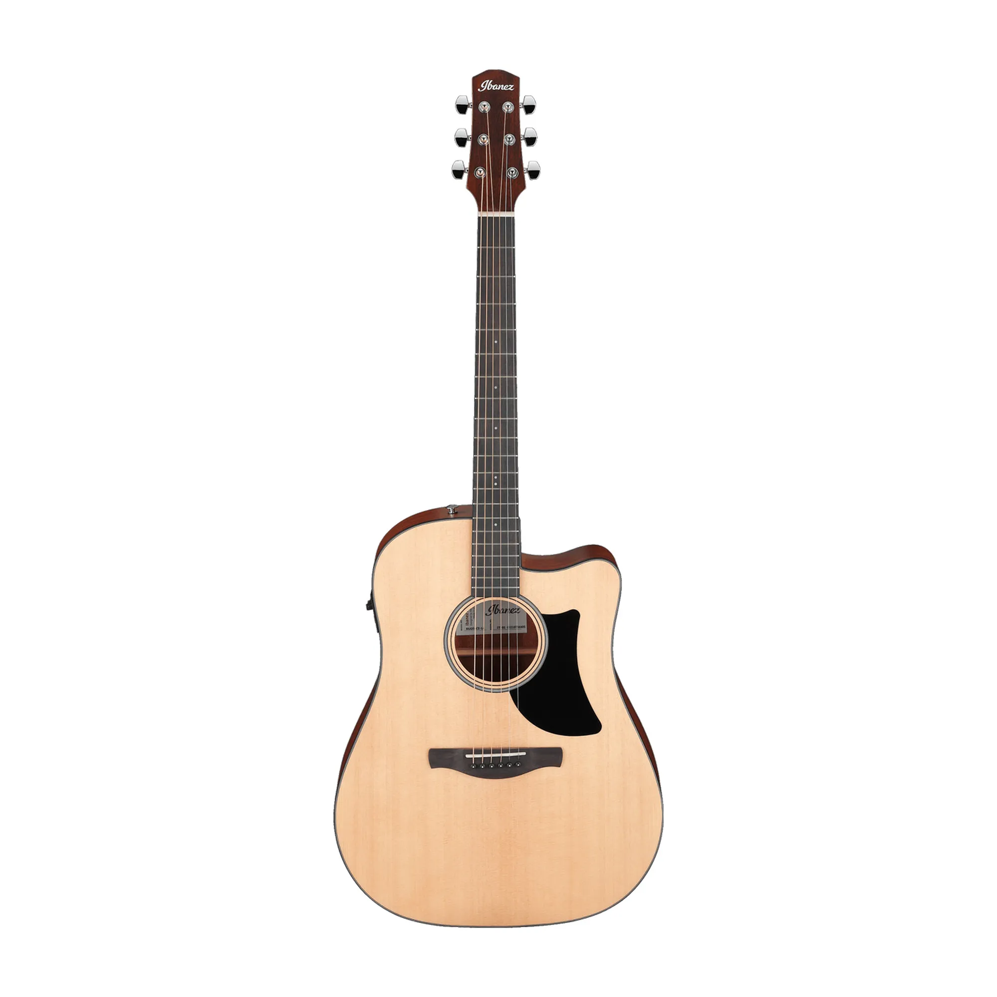 Ibanez AAD50CE-LG