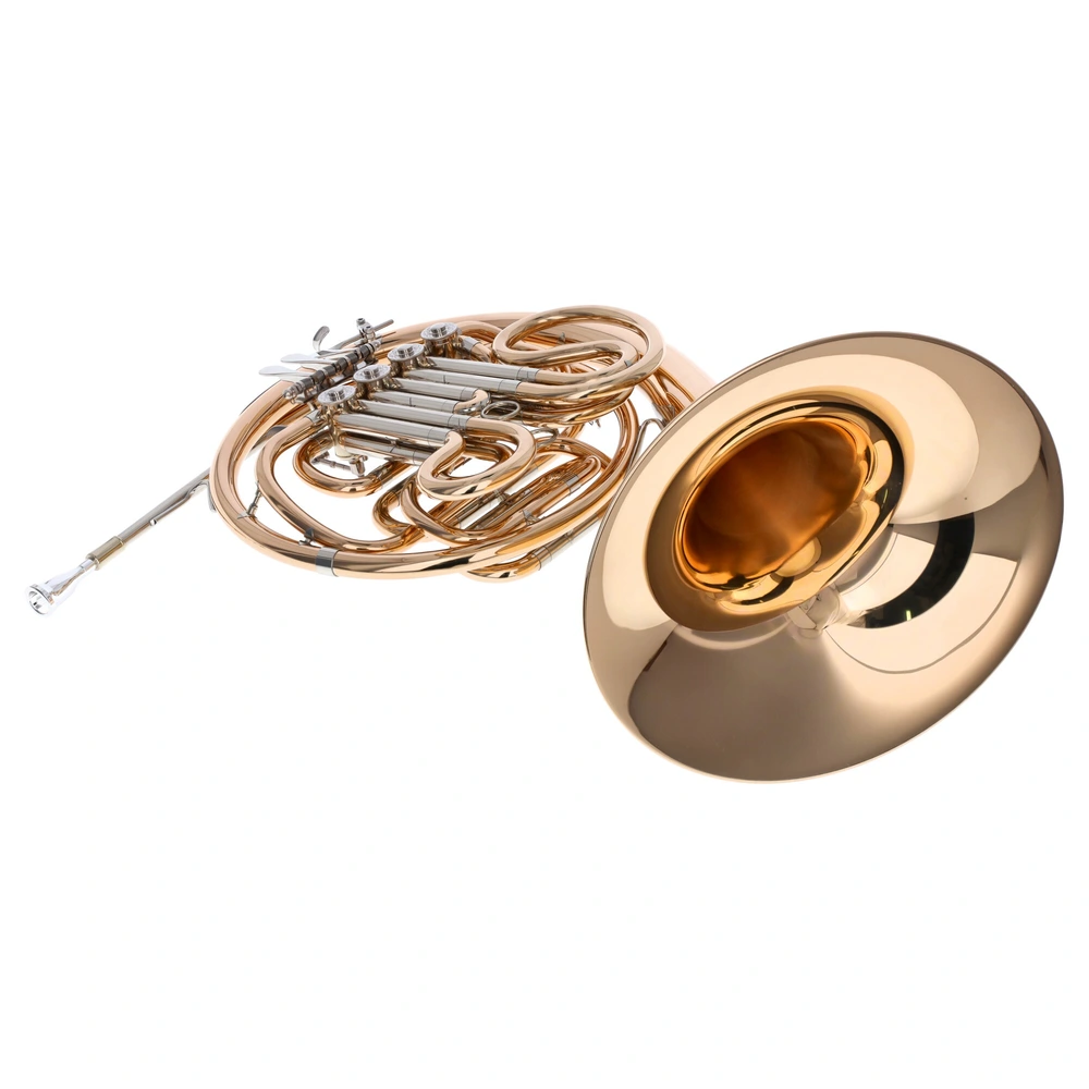 Reisser Academia RDH-801G