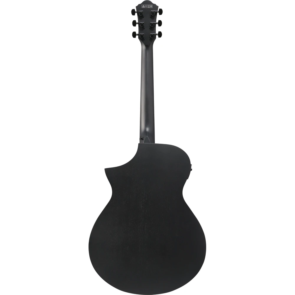 Ibanez AEWC621-BOT