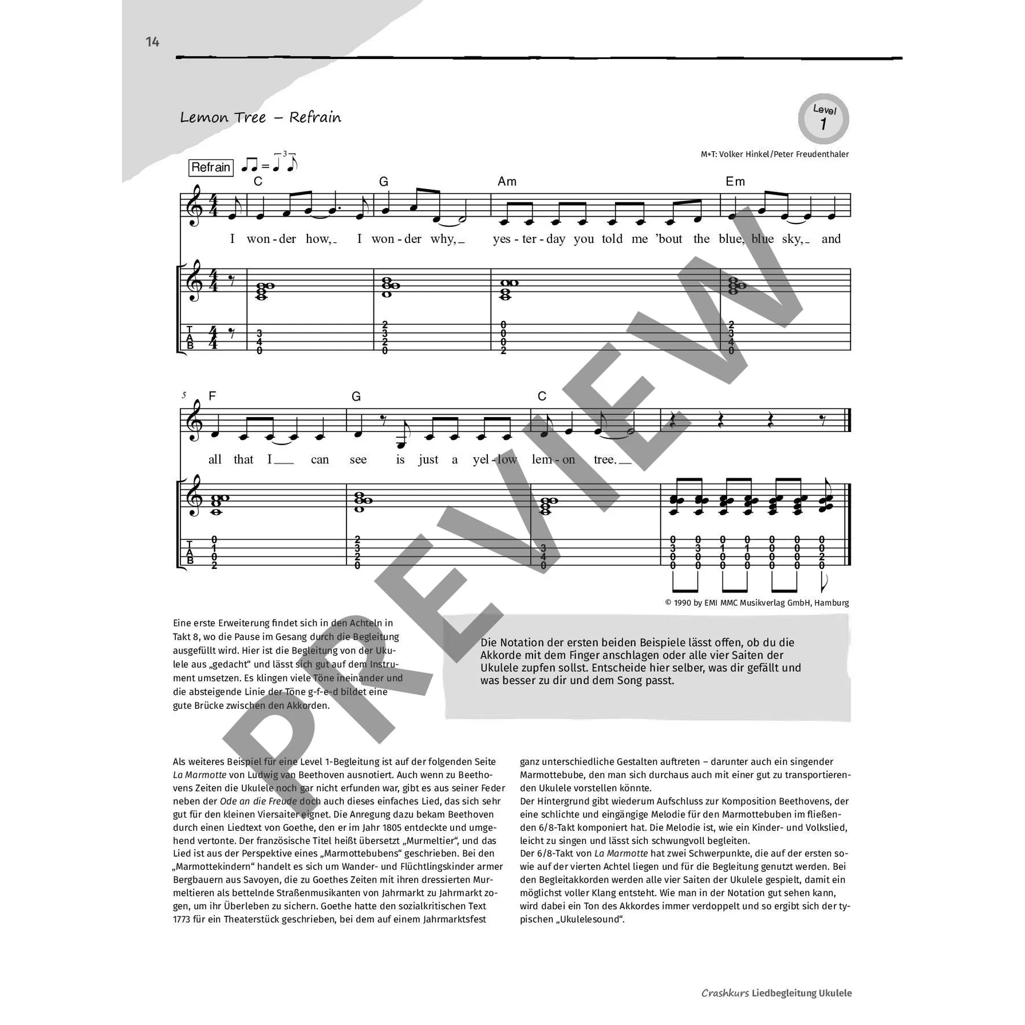 Liedbegleitung Ukulele