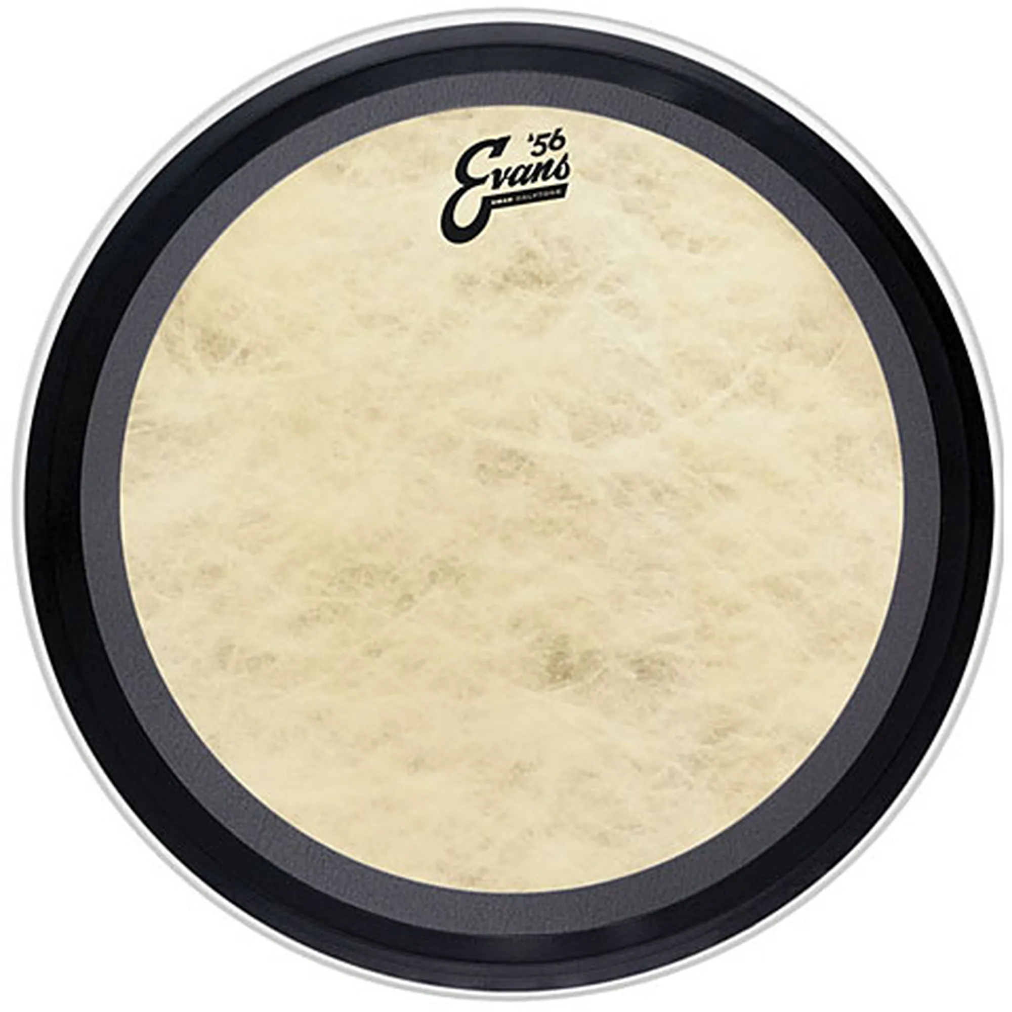 Evans EMAD Calftone 20"