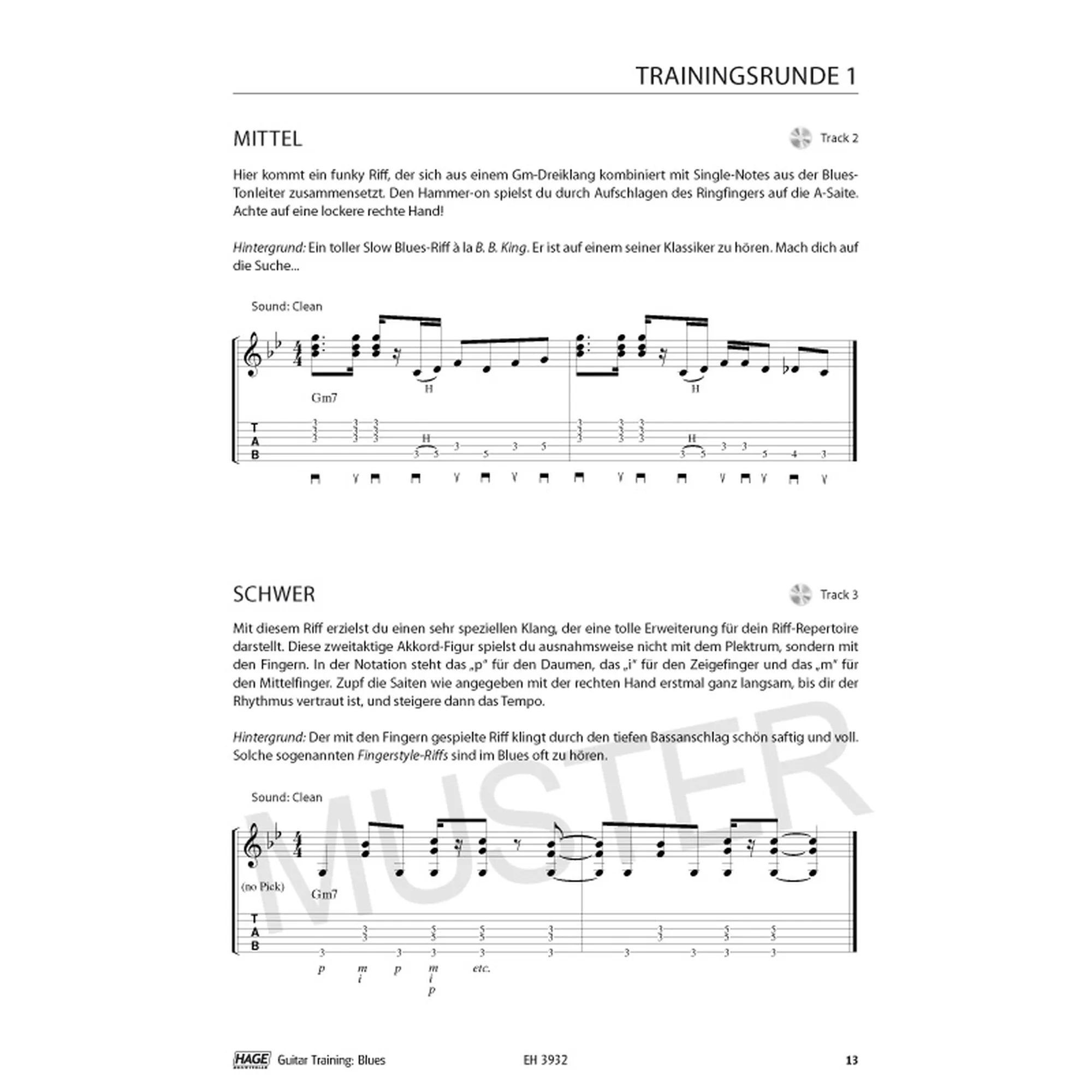 Guitar Training -Blues