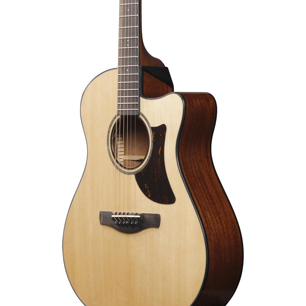 Ibanez AAM300CE-NT