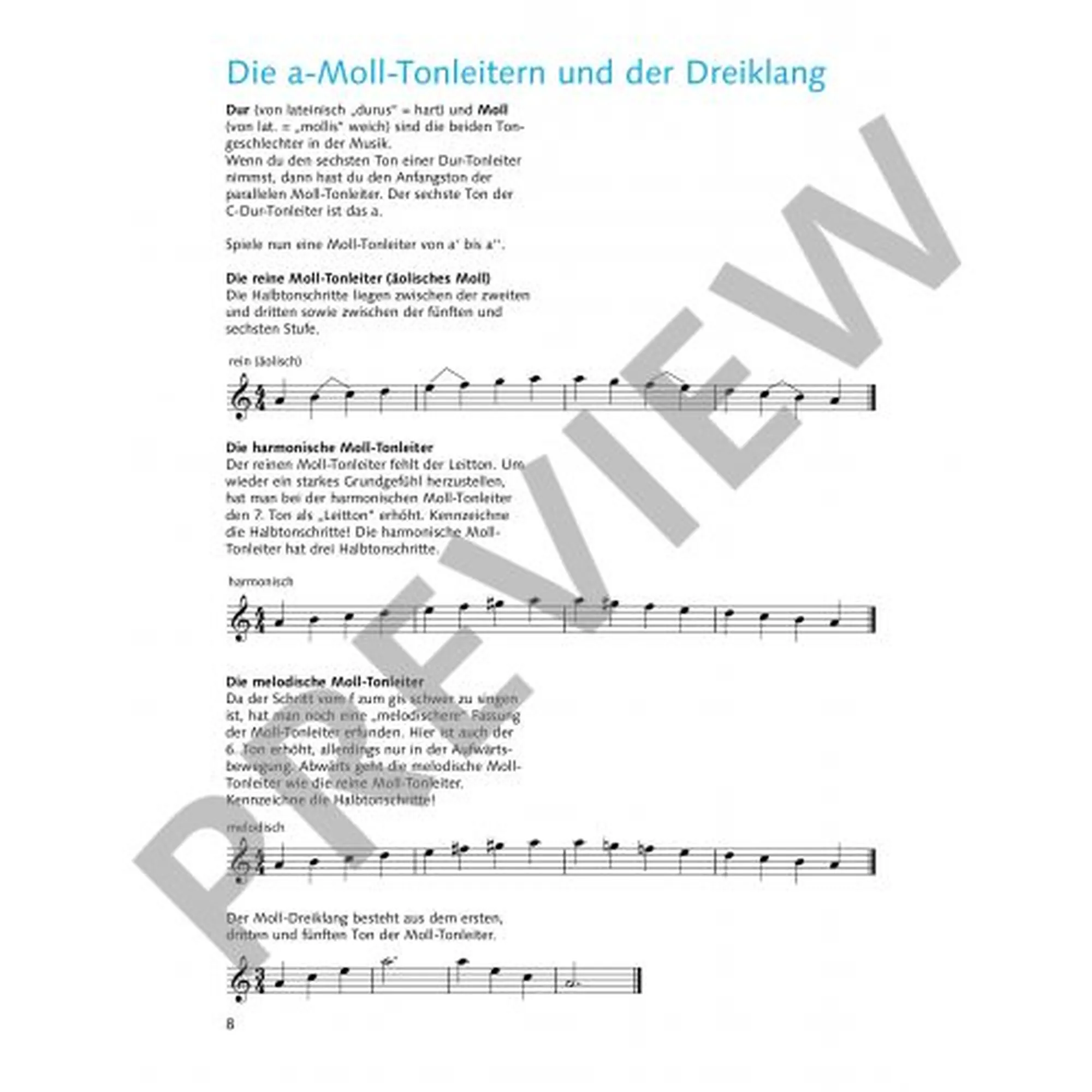 Die fröhliche Querflöte 2