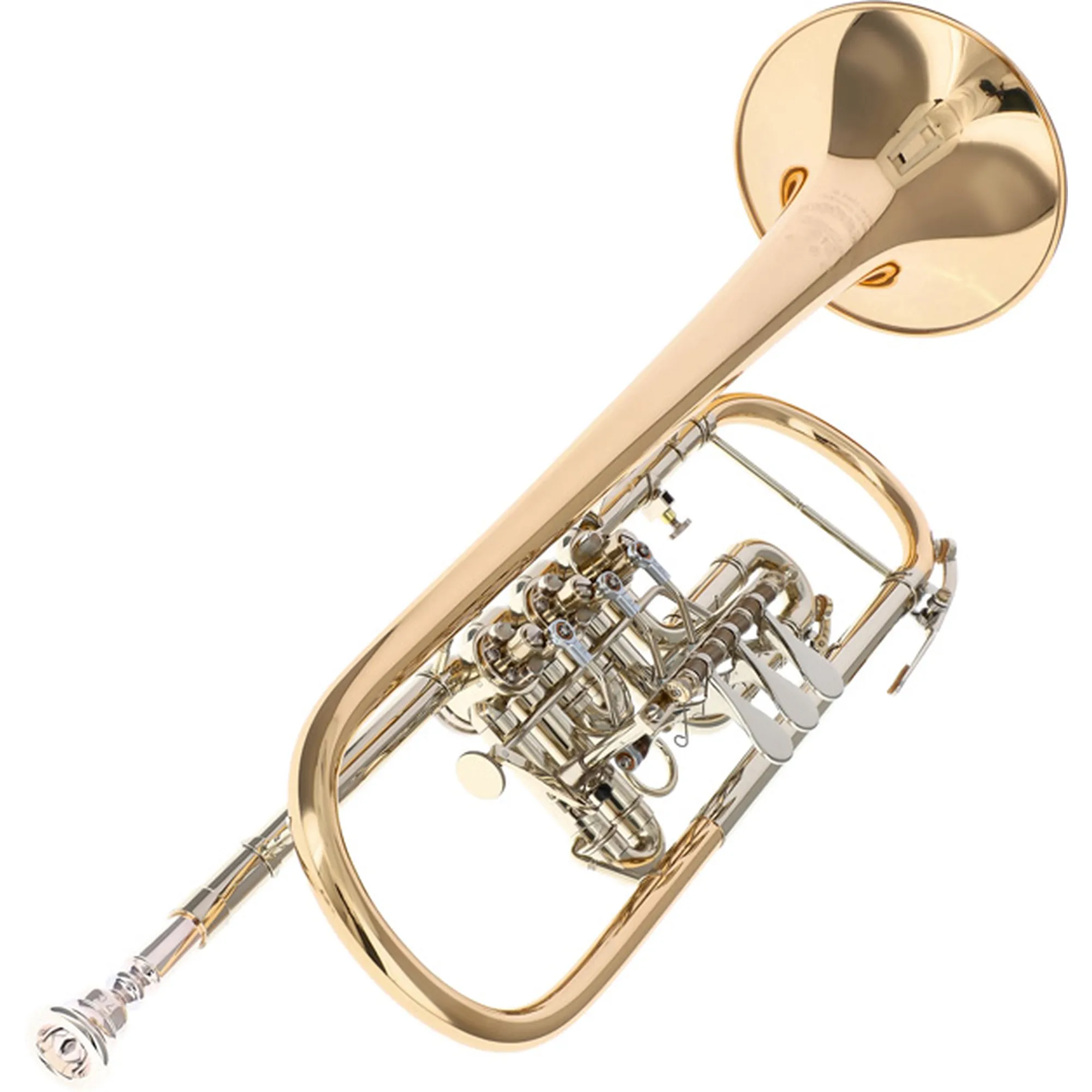 B&S 3005WTR-L