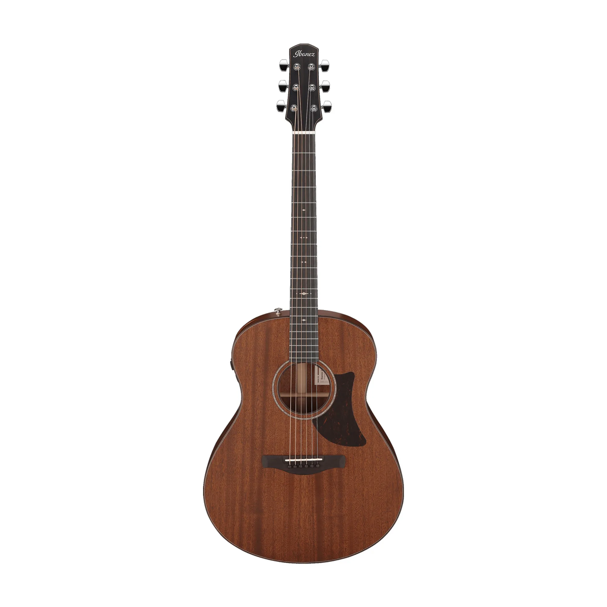 Ibanez AAM740E-LG