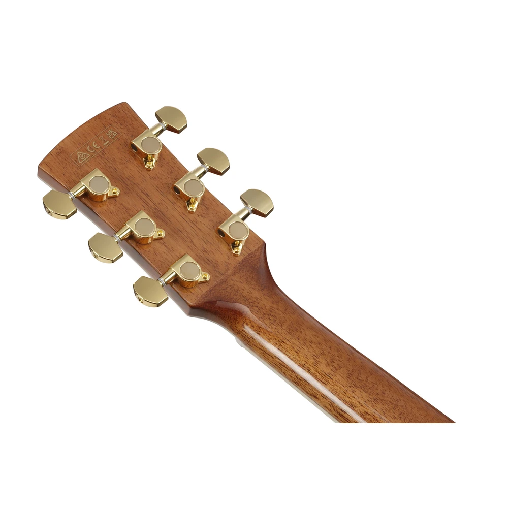 Ibanez AC391RCE-BKH - Limited