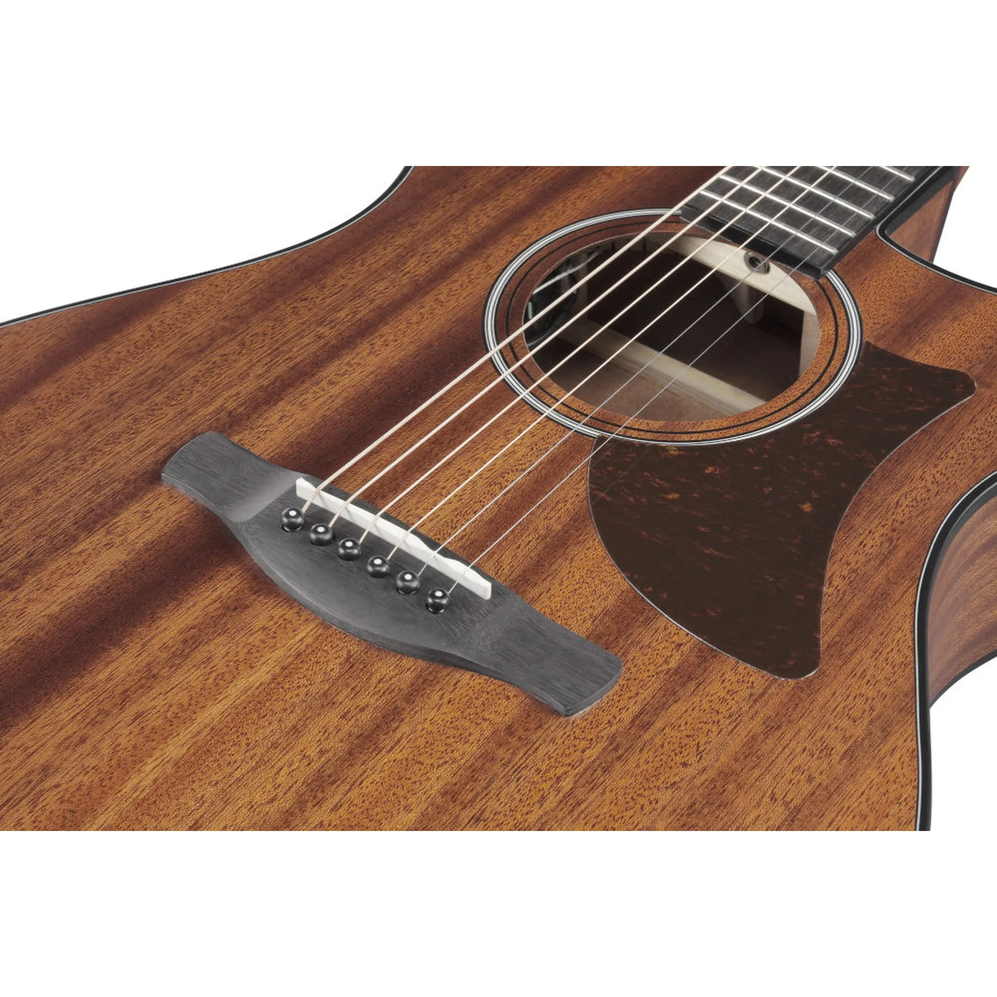 Ibanez AAM54CE-OPN