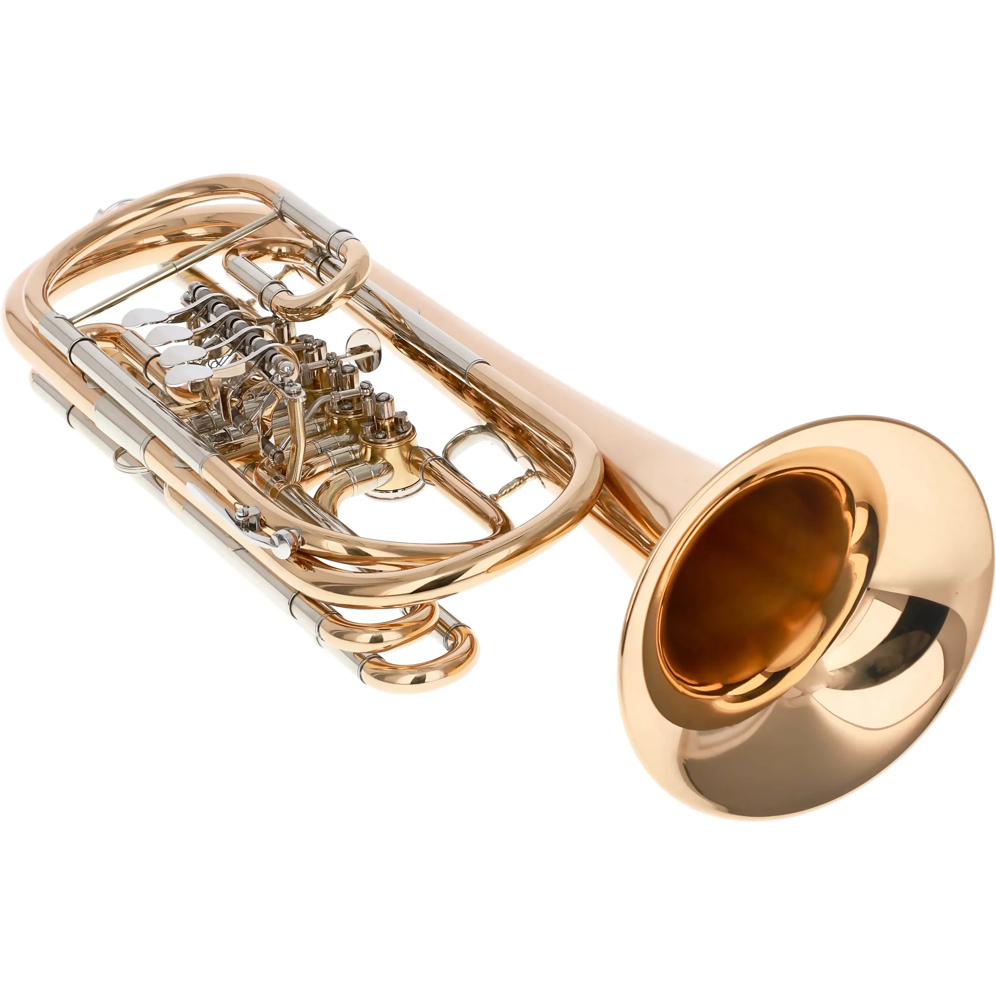 Reisser Academia RBT-48G