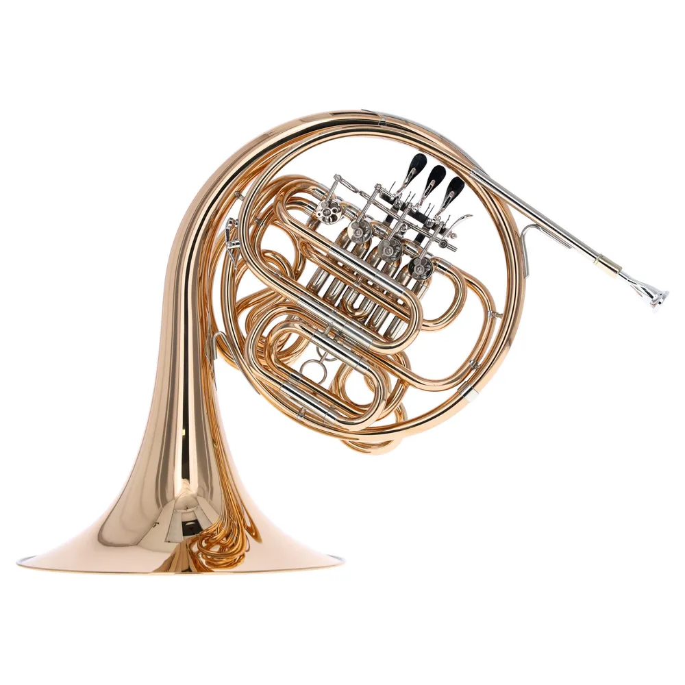 Reisser Academia RDH-801G