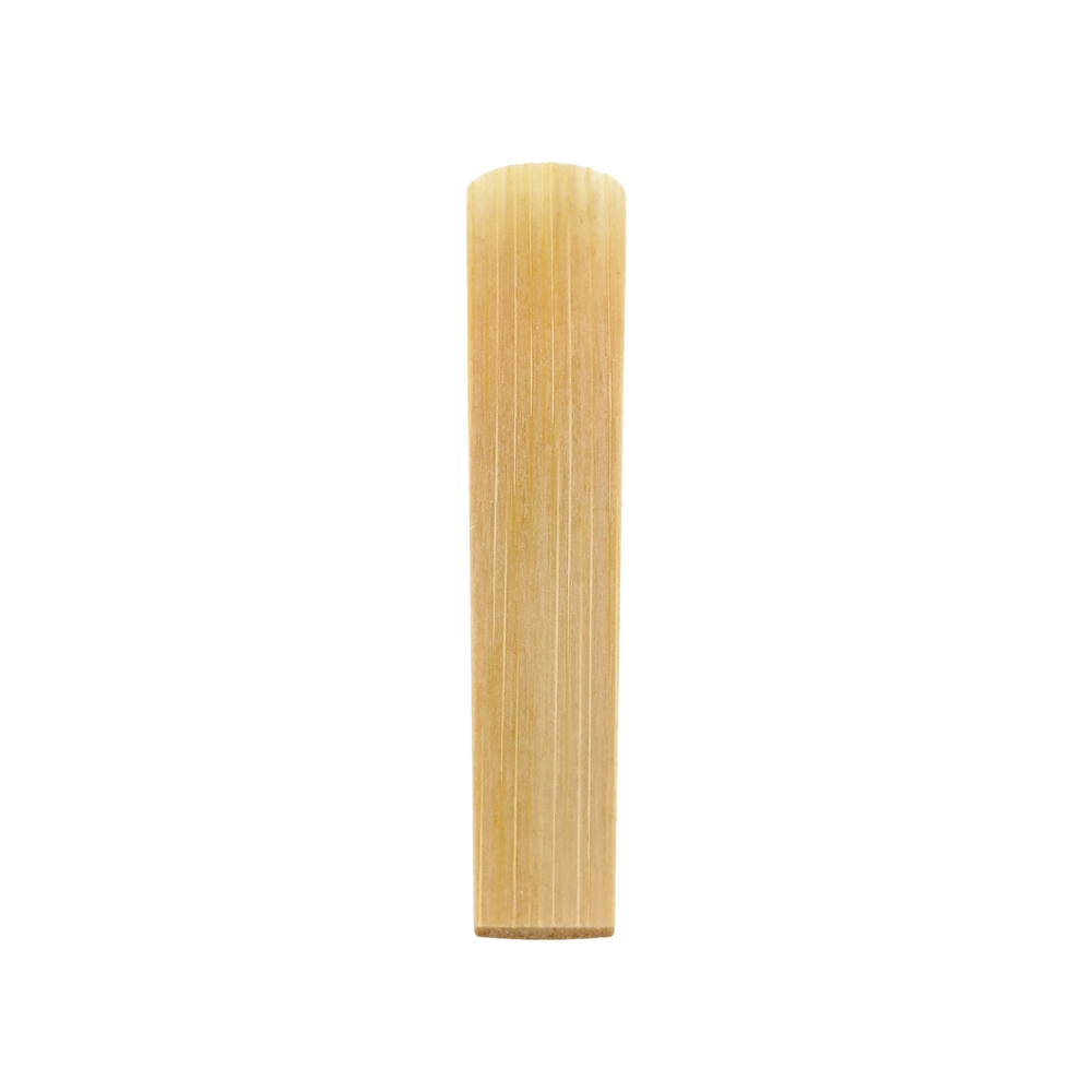 Pilgerstorfer Artist D 3