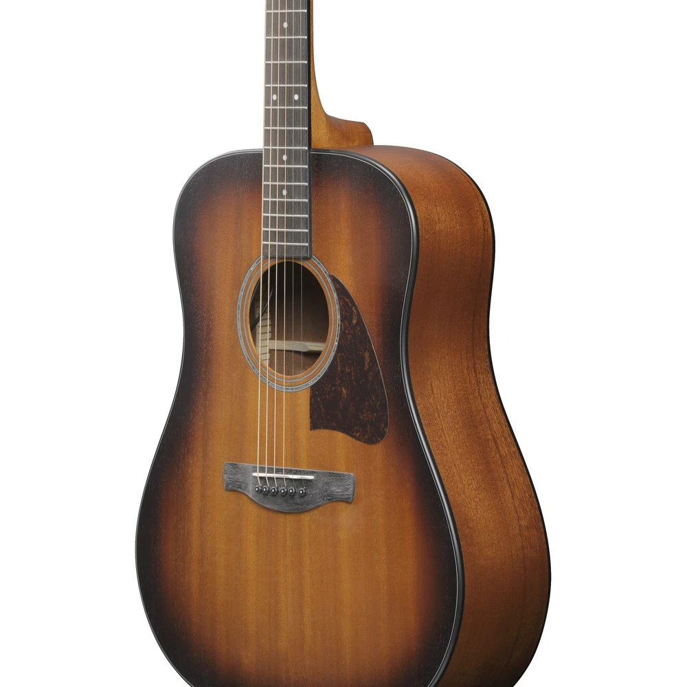 Ibanez AAD54E-OMH