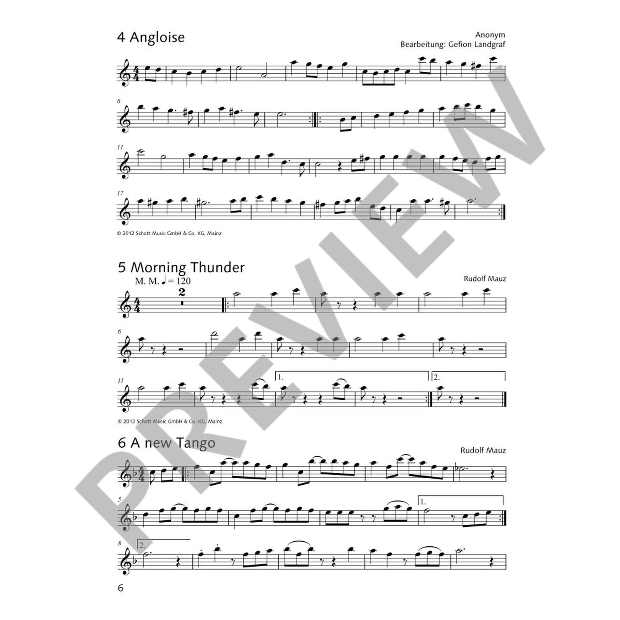 Die fröhliche Querflöte - Spielbuch 2