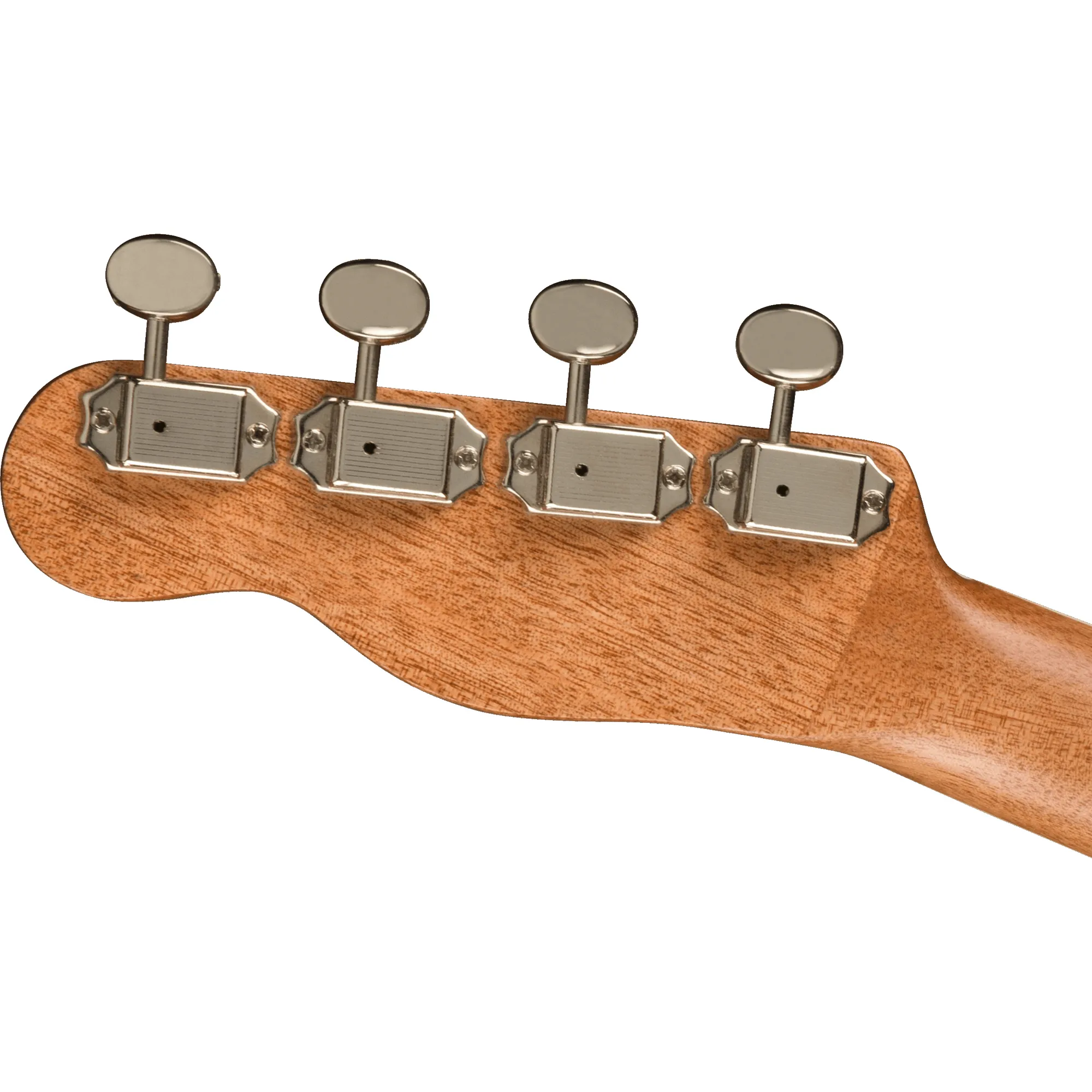 Fender Zuma Exotic Bocote