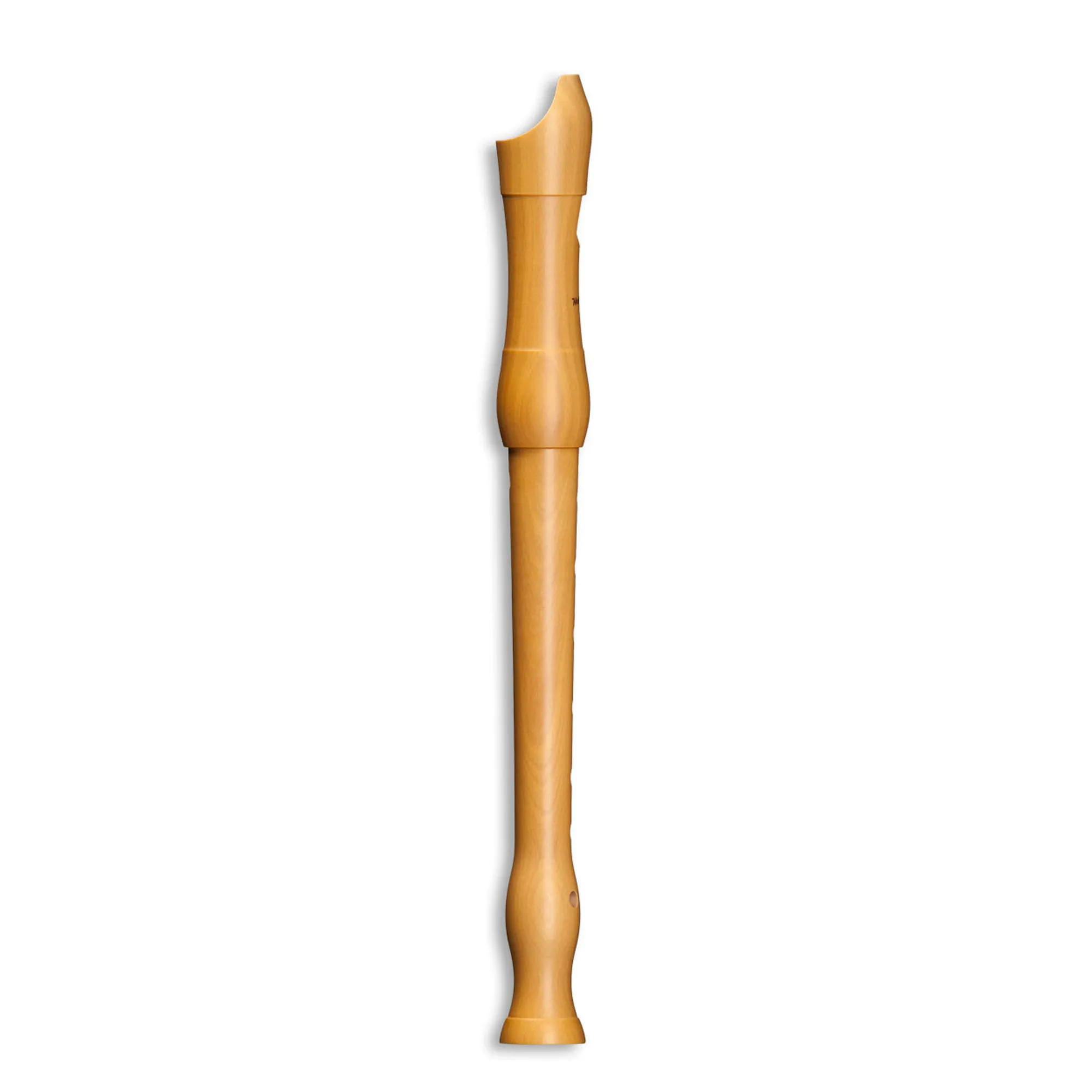 Mollenhauer Student 1004