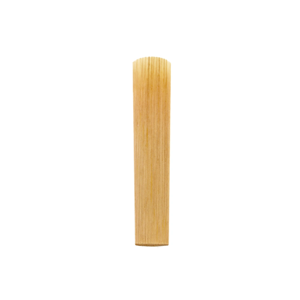 Pilgerstorfer Rondo 2,0