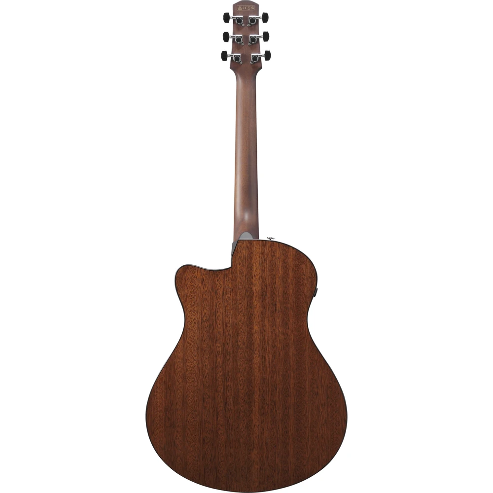 Ibanez AAM300CE-NT