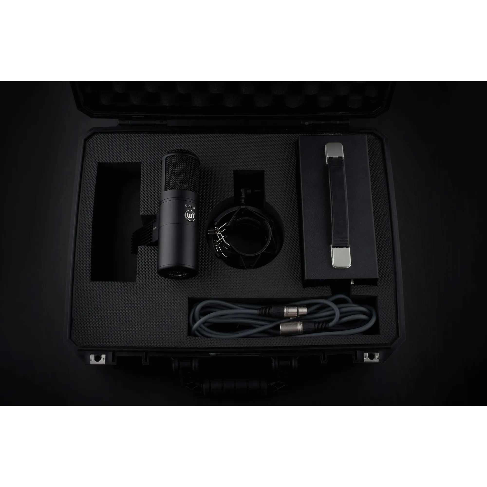 Warm Audio WA-8000
