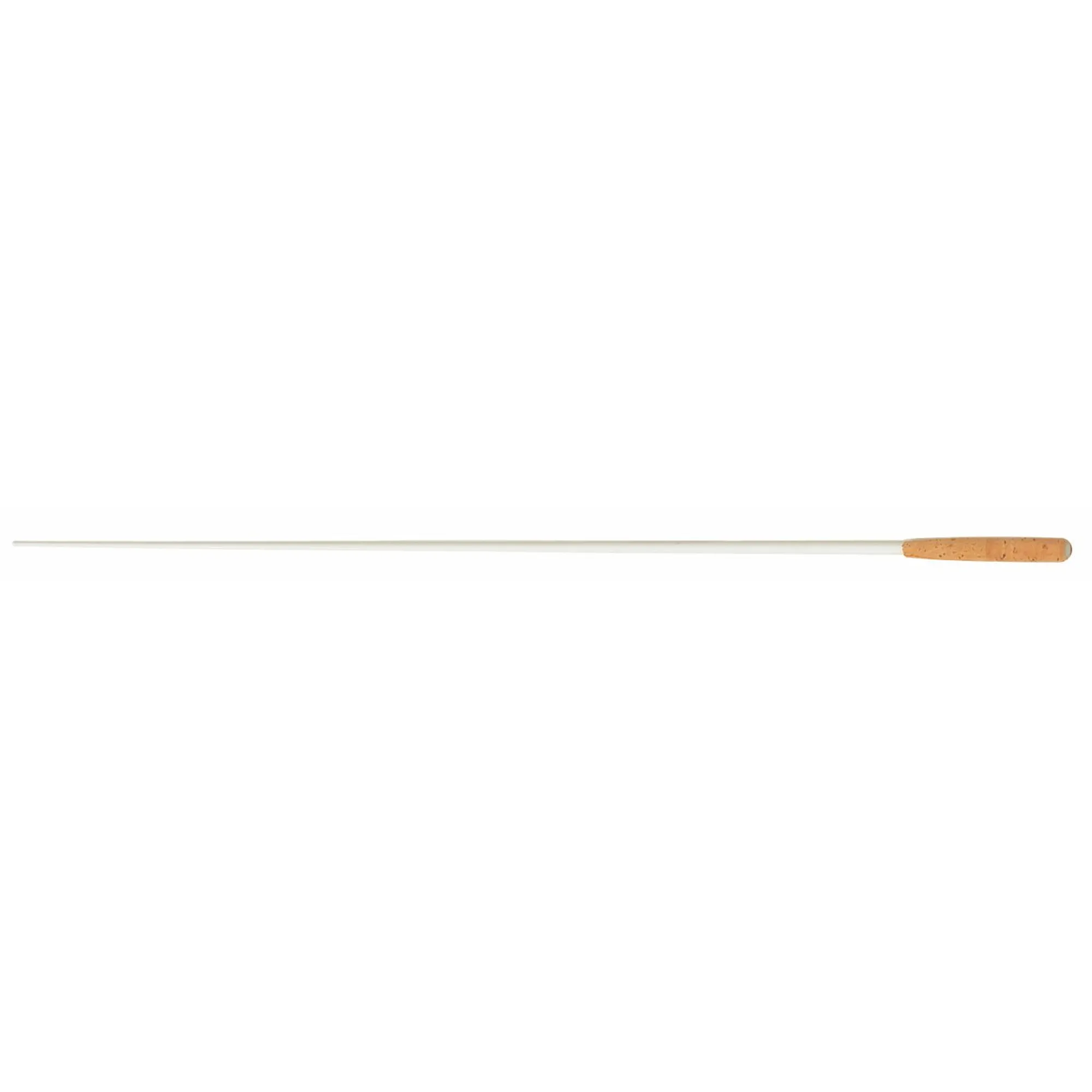 Rohema Beethoven Carbon