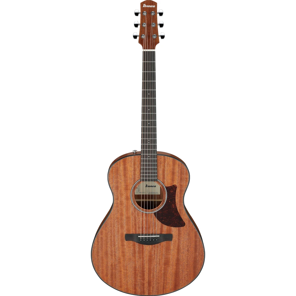 Ibanez AAM54-OPN