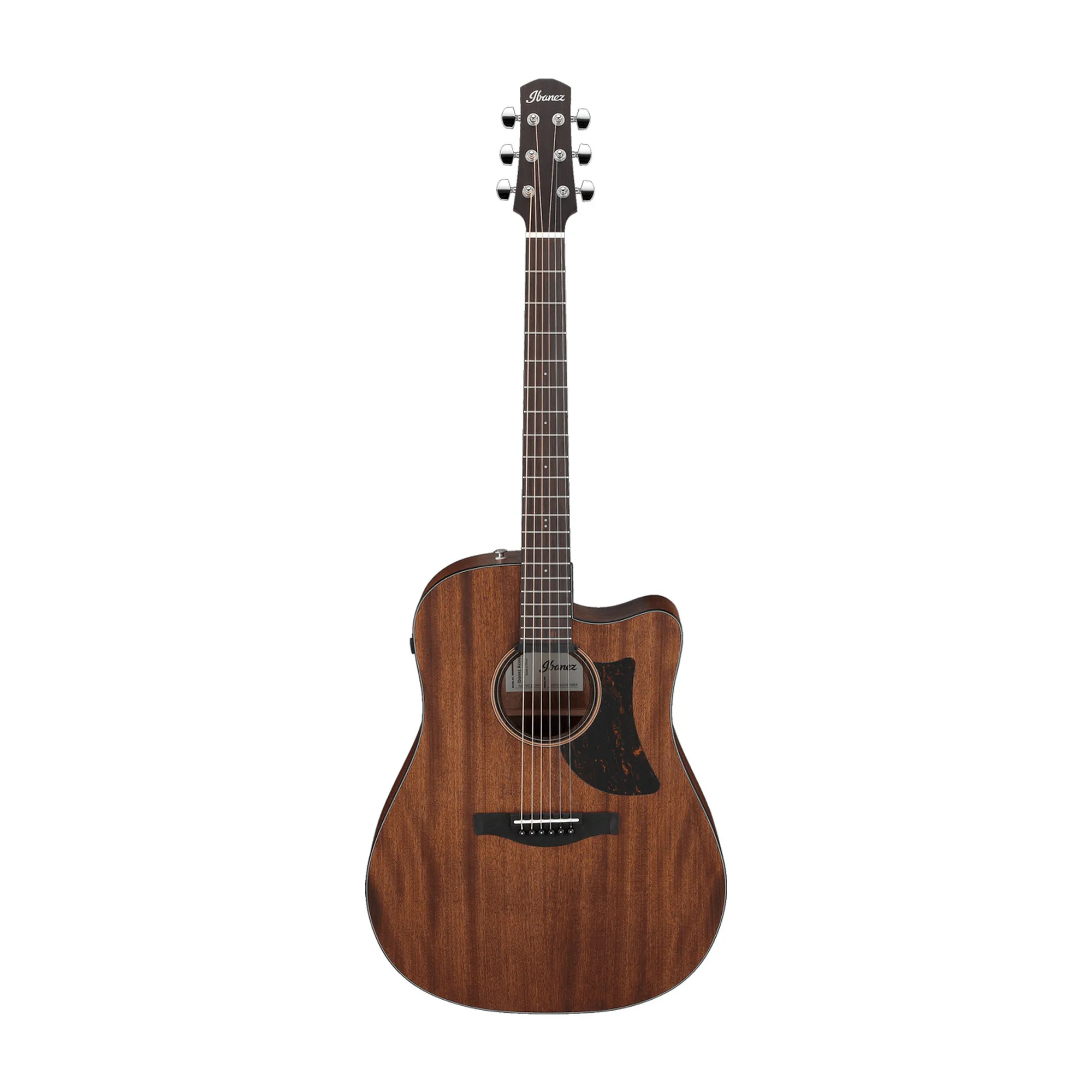 Ibanez AAD190CE-OPN