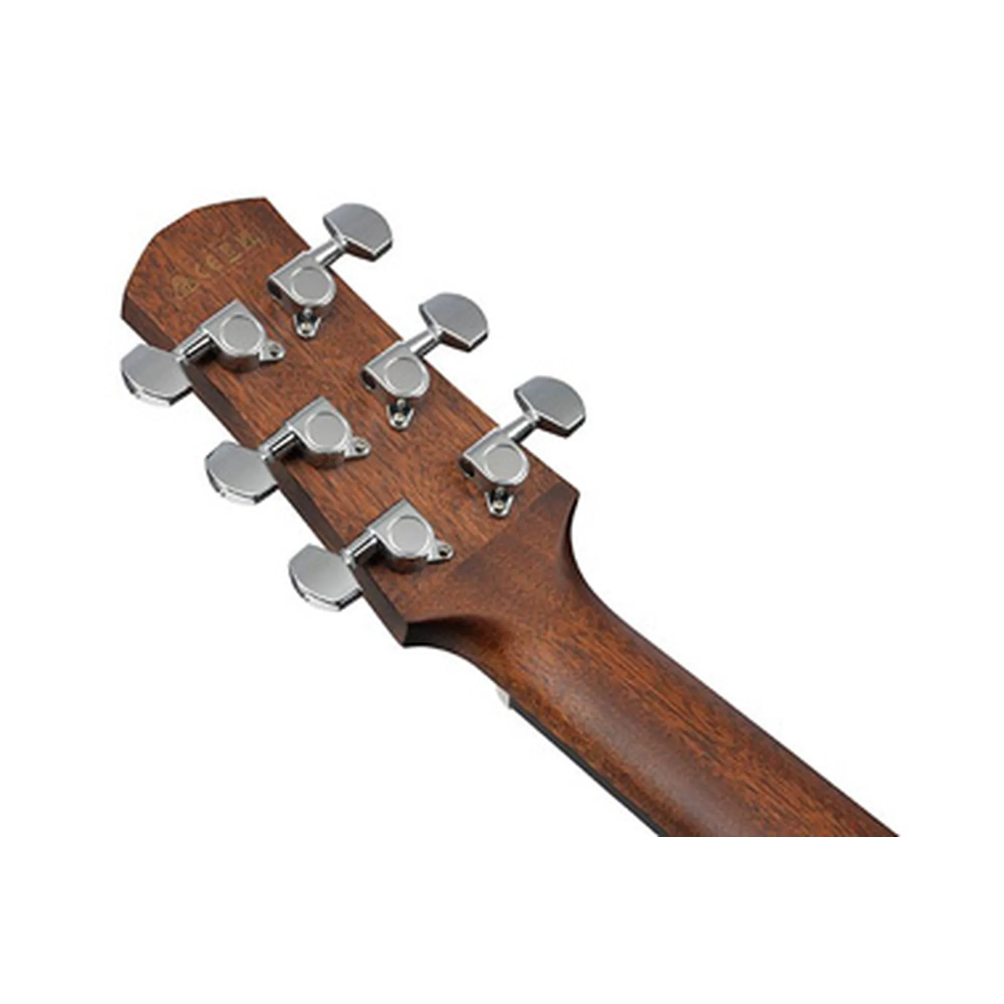 Ibanez AAD190CE-OPN
