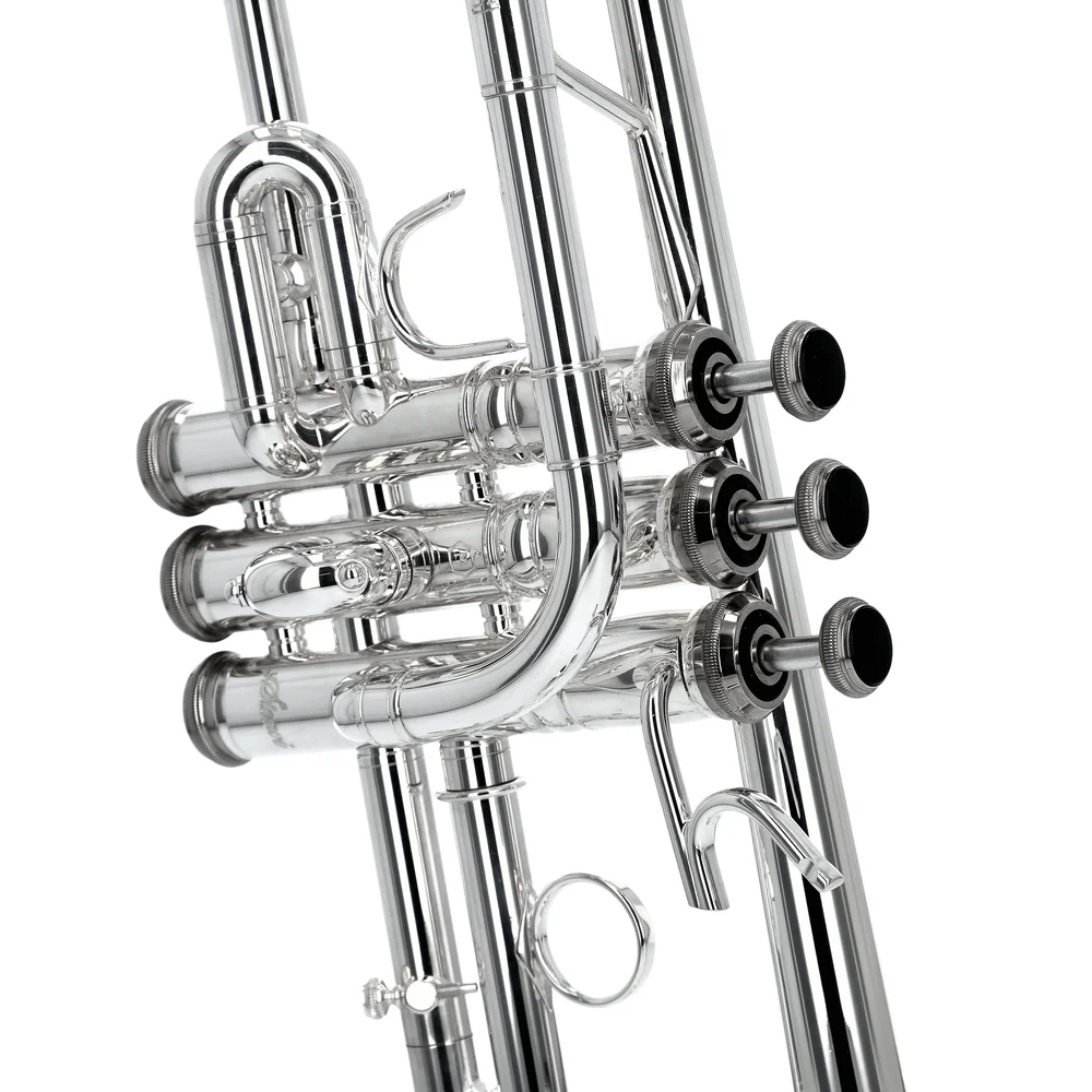 Stomvi Titan 5521